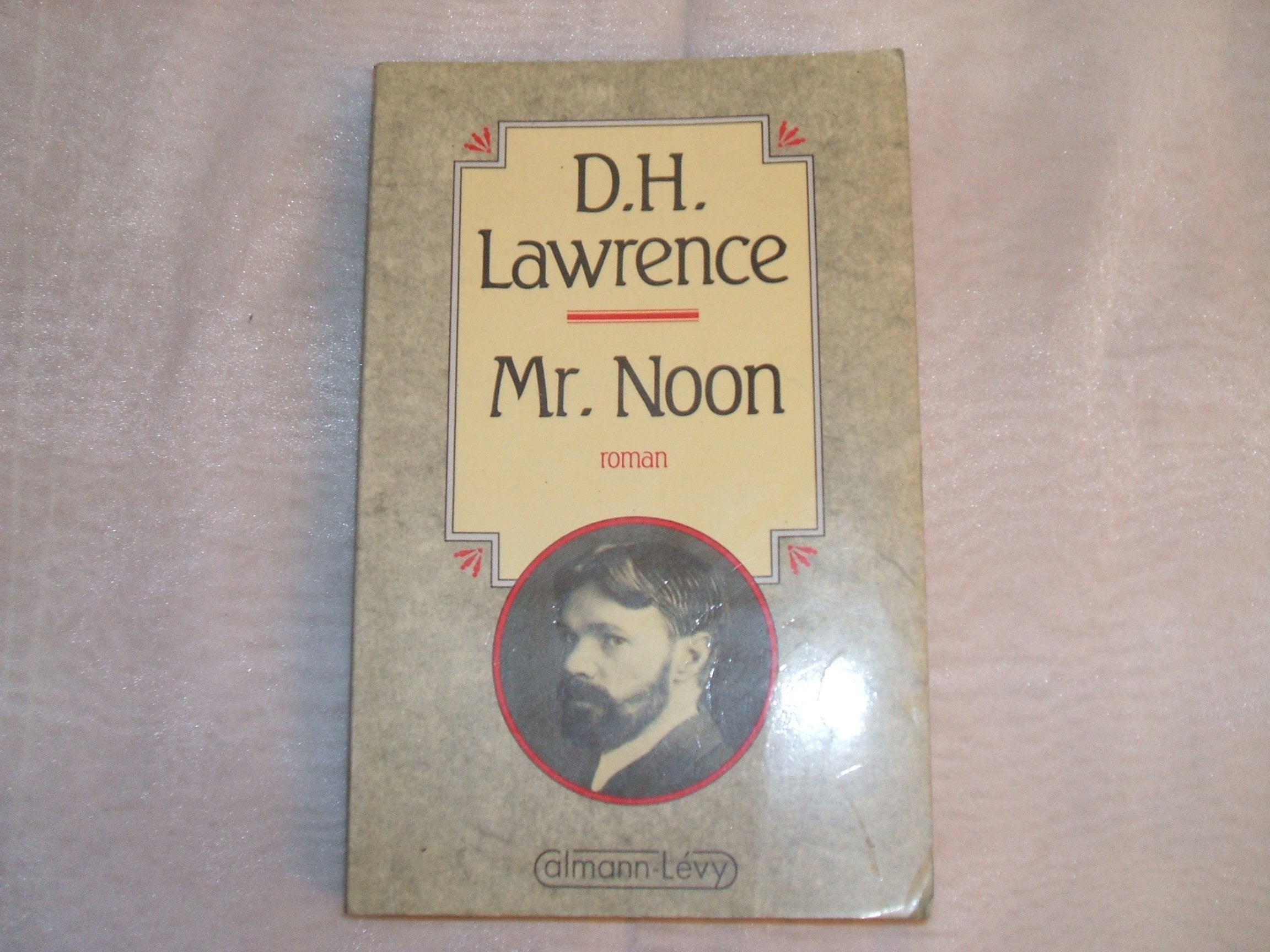 Mr Noon 9782702114049