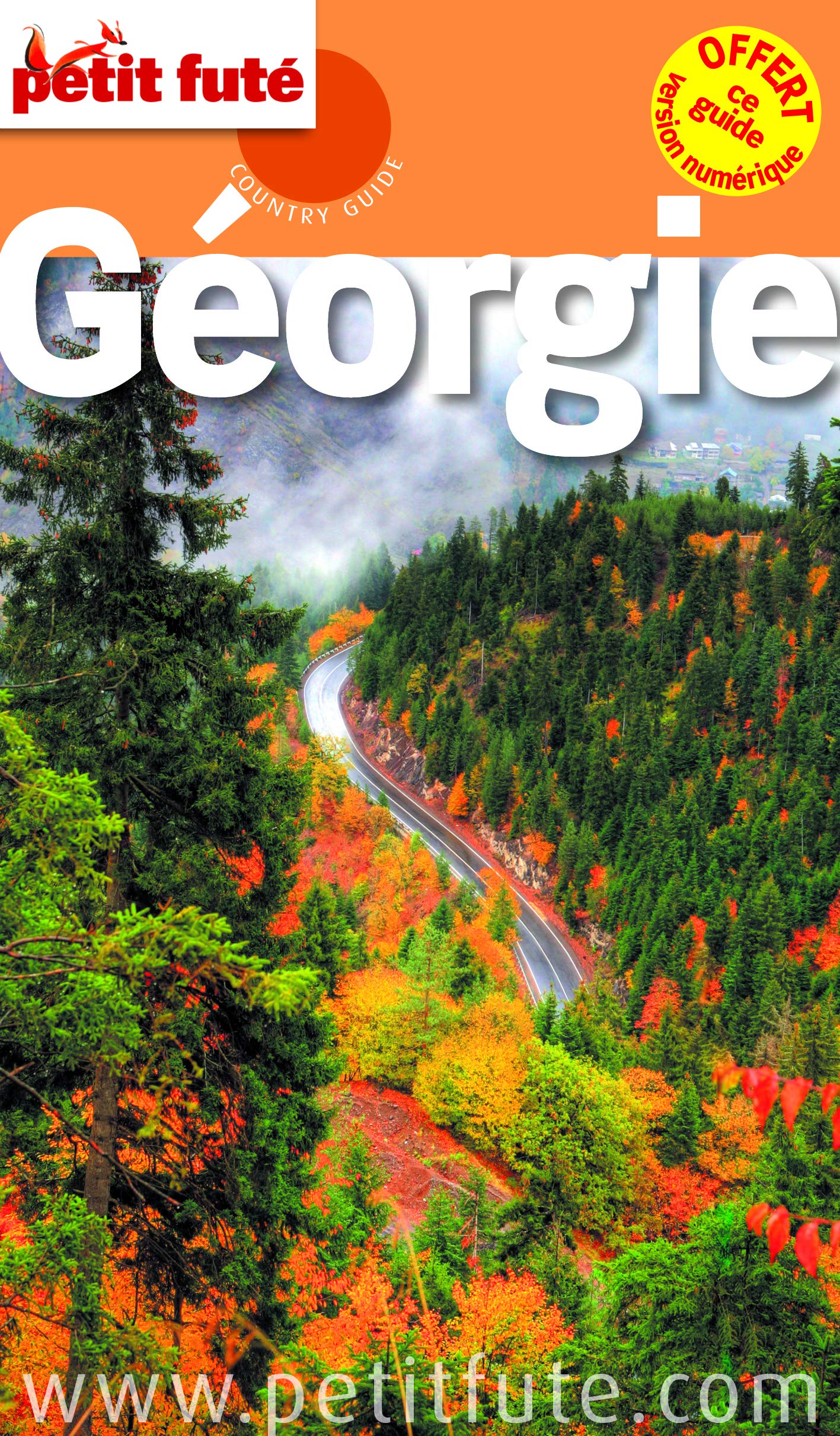 GEORGIE 2015 PETIT FUTE: OFFRE NUMERIQUE 9782746978485