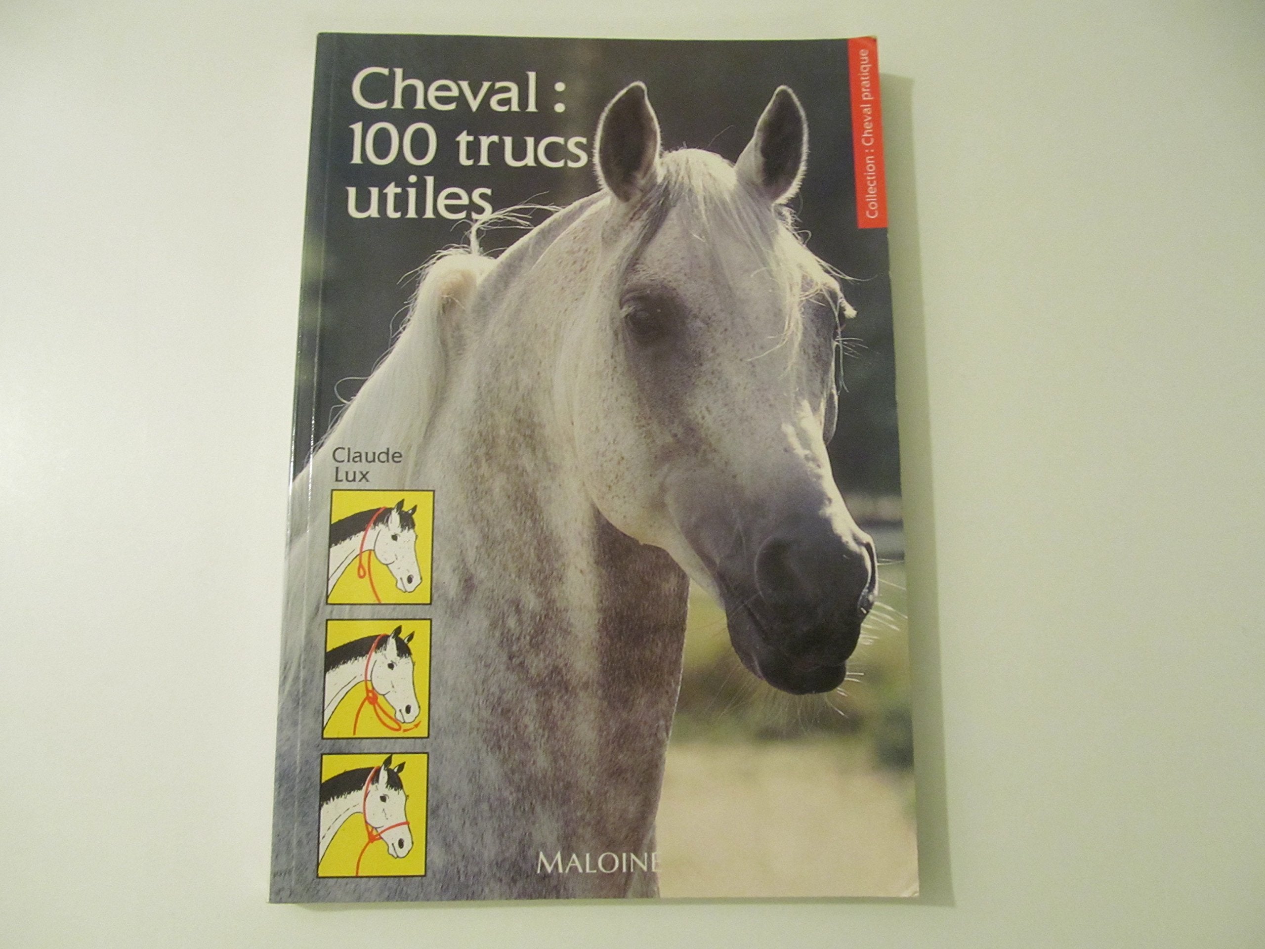 Cheval: 100 trucs utiles 9782224019716