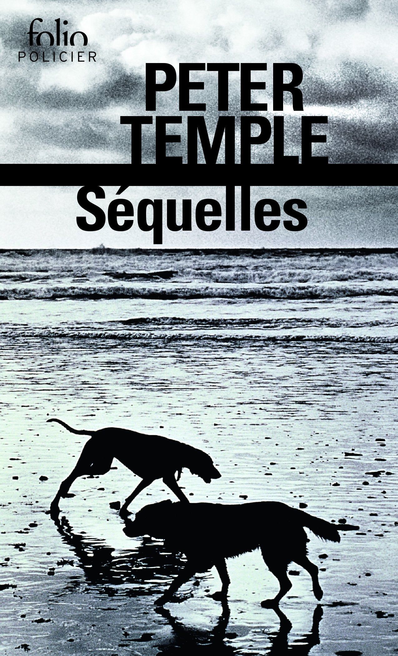 Séquelles 9782070467112