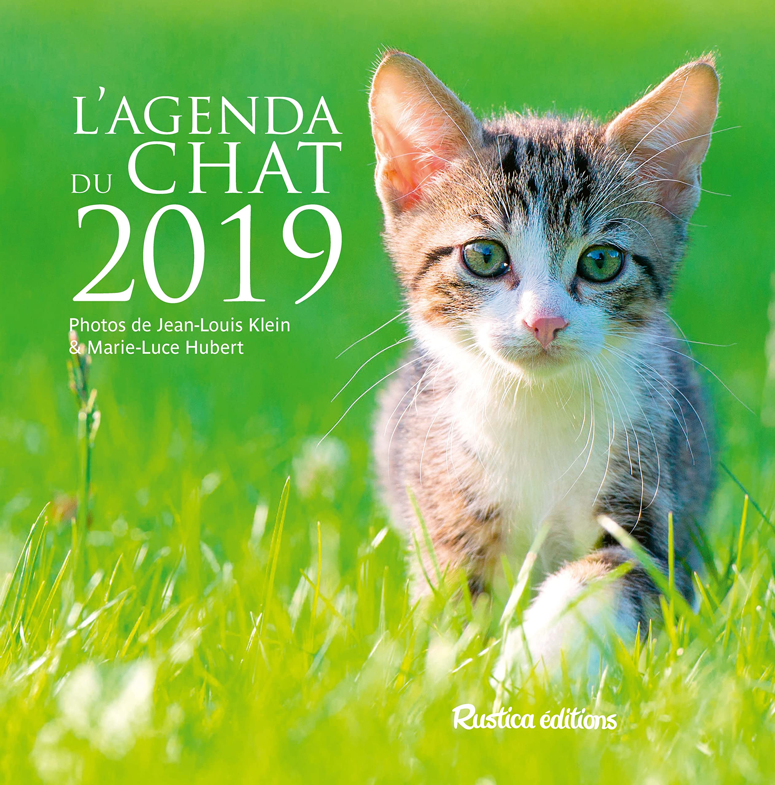 L'agenda du chat 2019 9782815311526