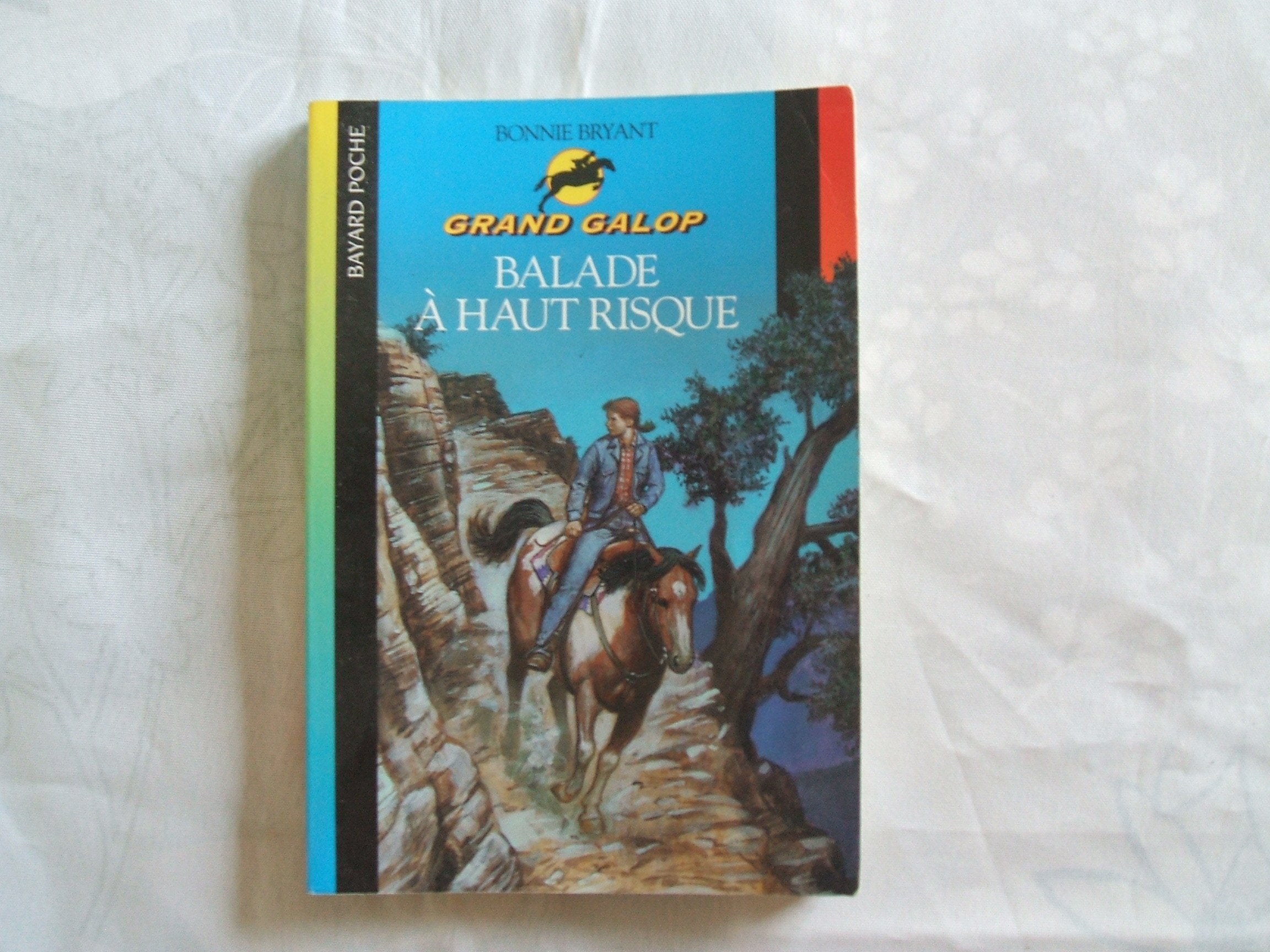 Balade à haut risque 9782747015639