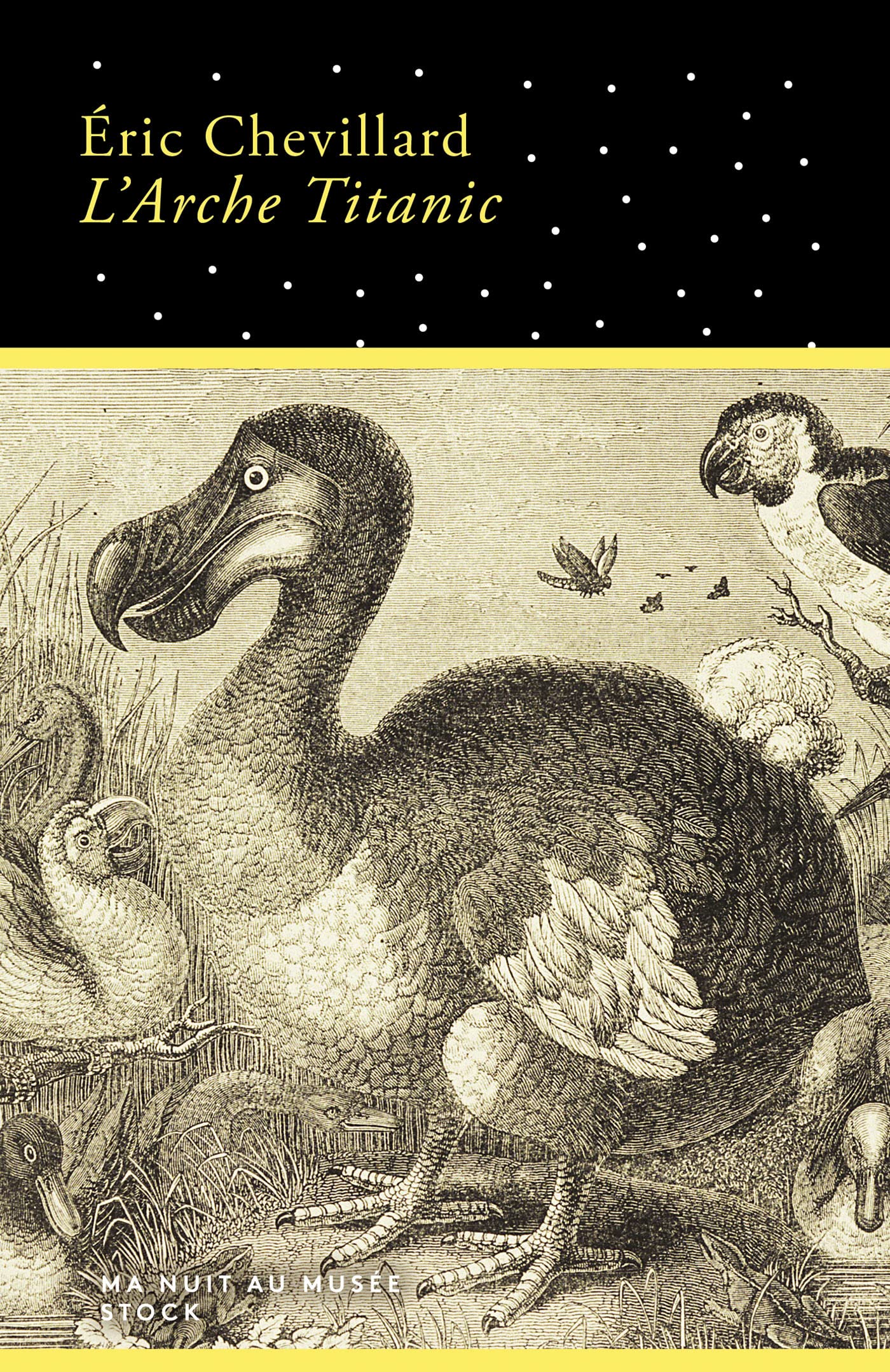 L'Arche Titanic 9782234088917