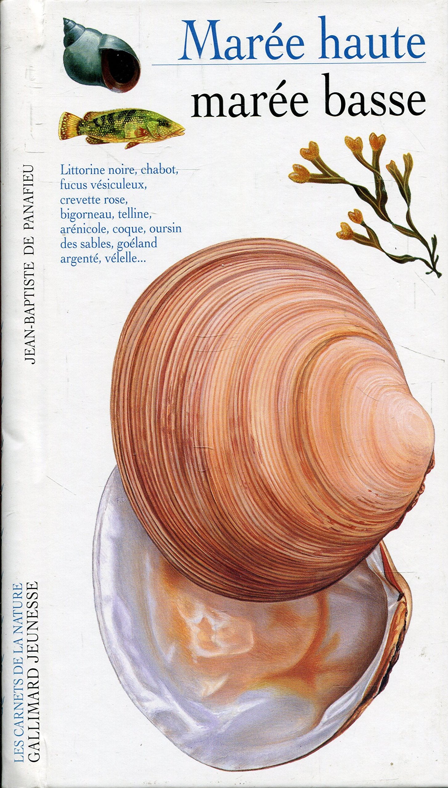 Marée basse marée haute 9782070586806