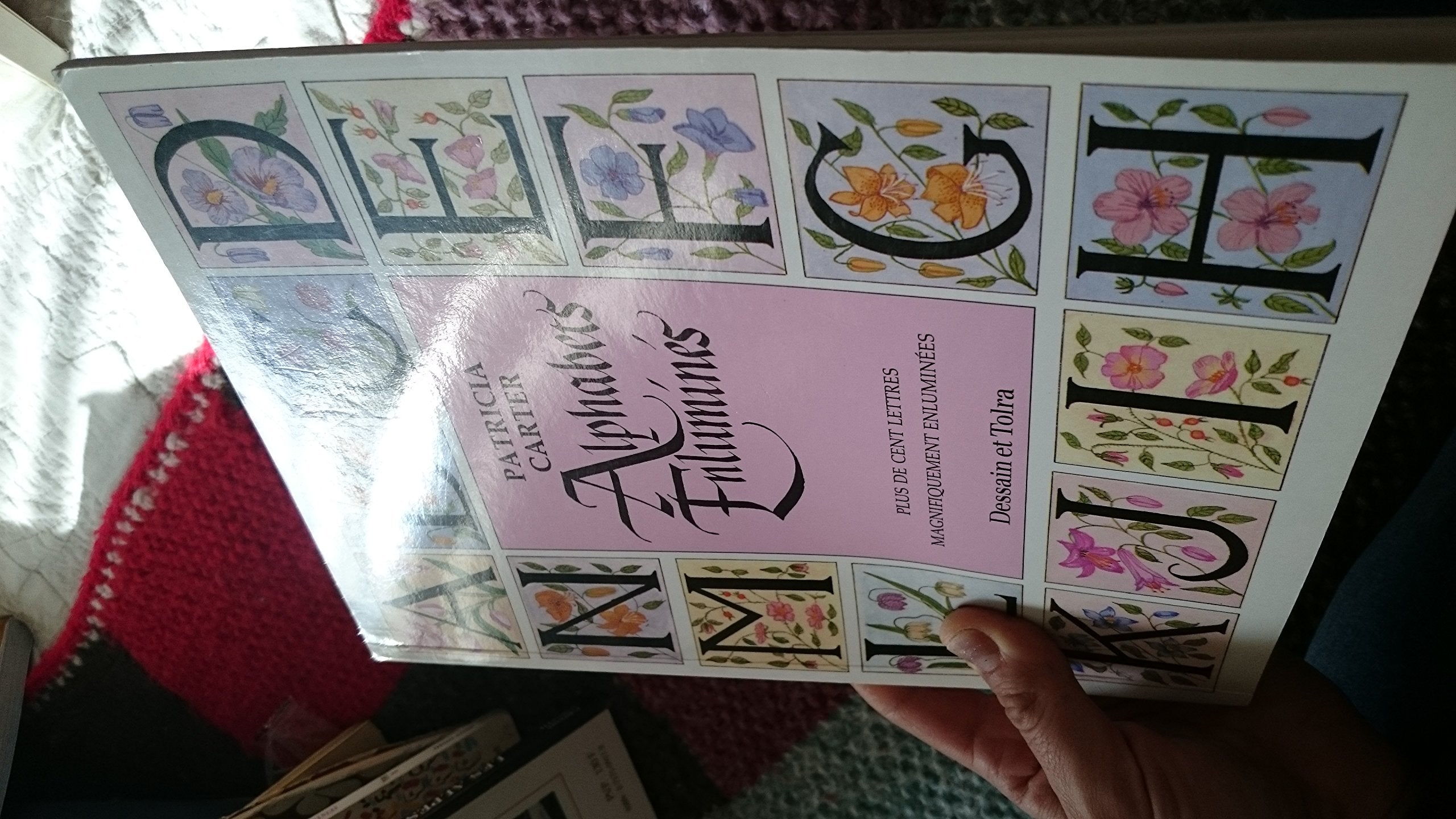 Alphabets enluminés 9782249278884