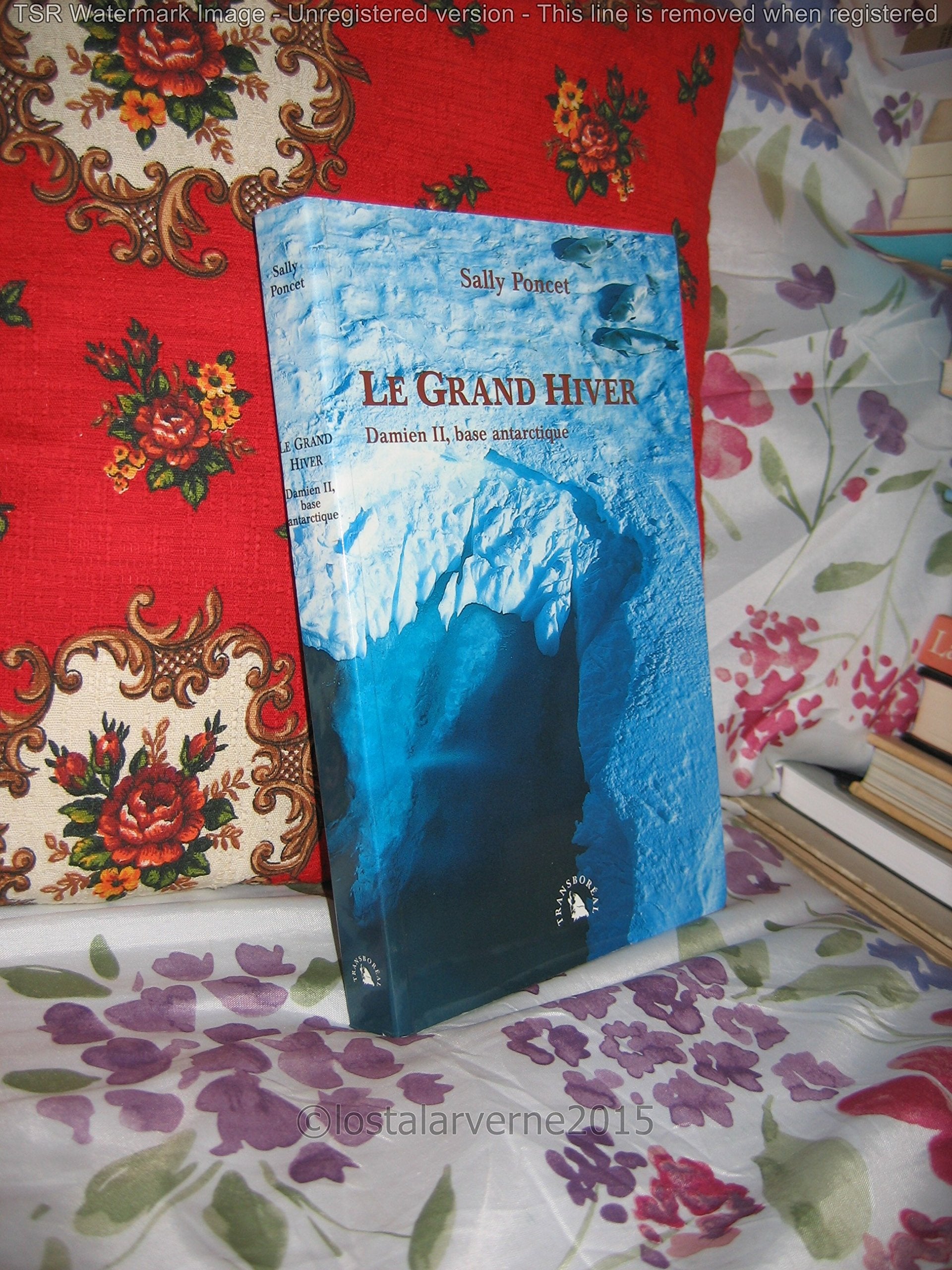 Le Grand Hiver. Damien II, base antarctique 9782913955028