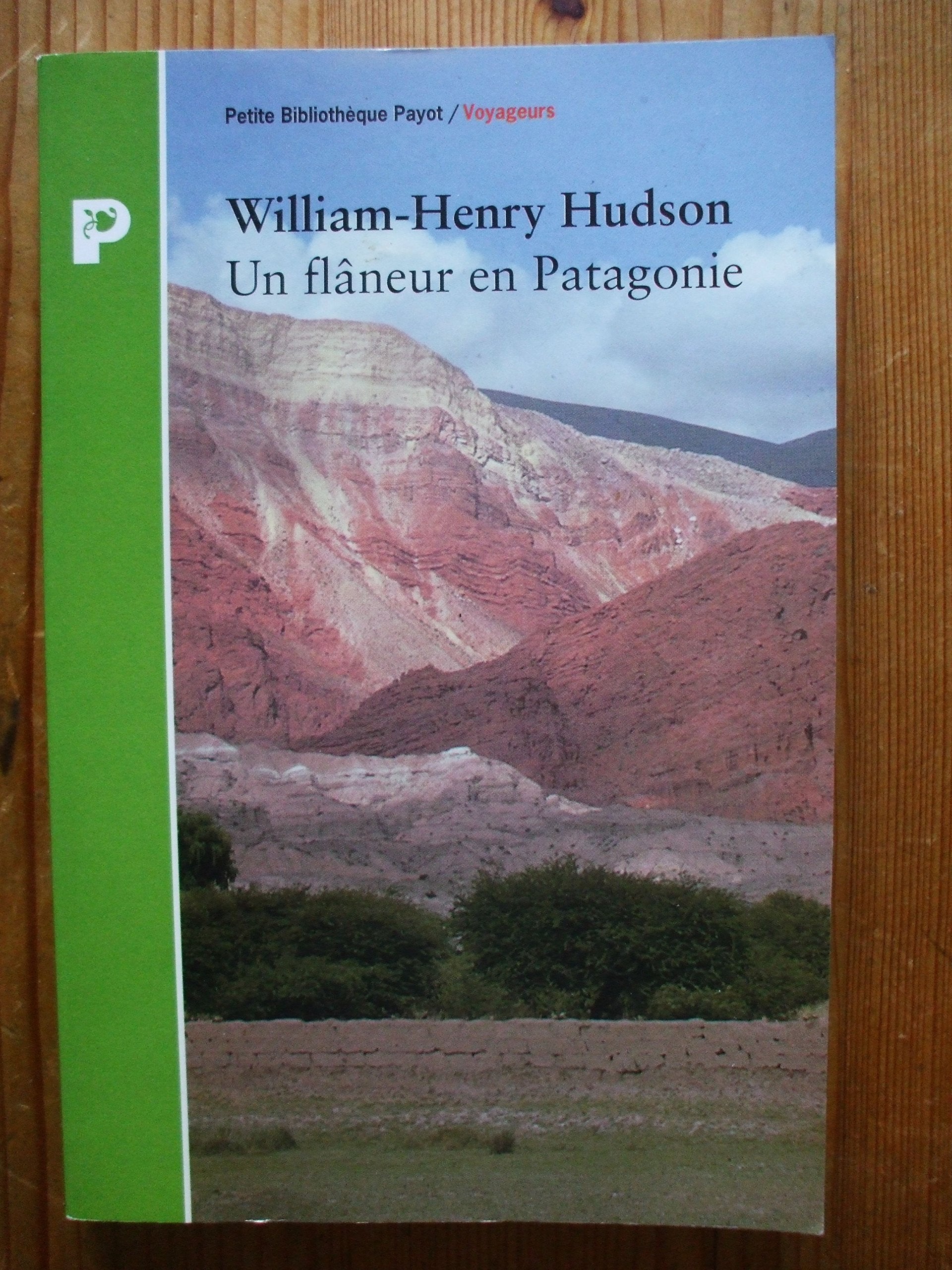 Un flâneur en Patagonie 9782228888158