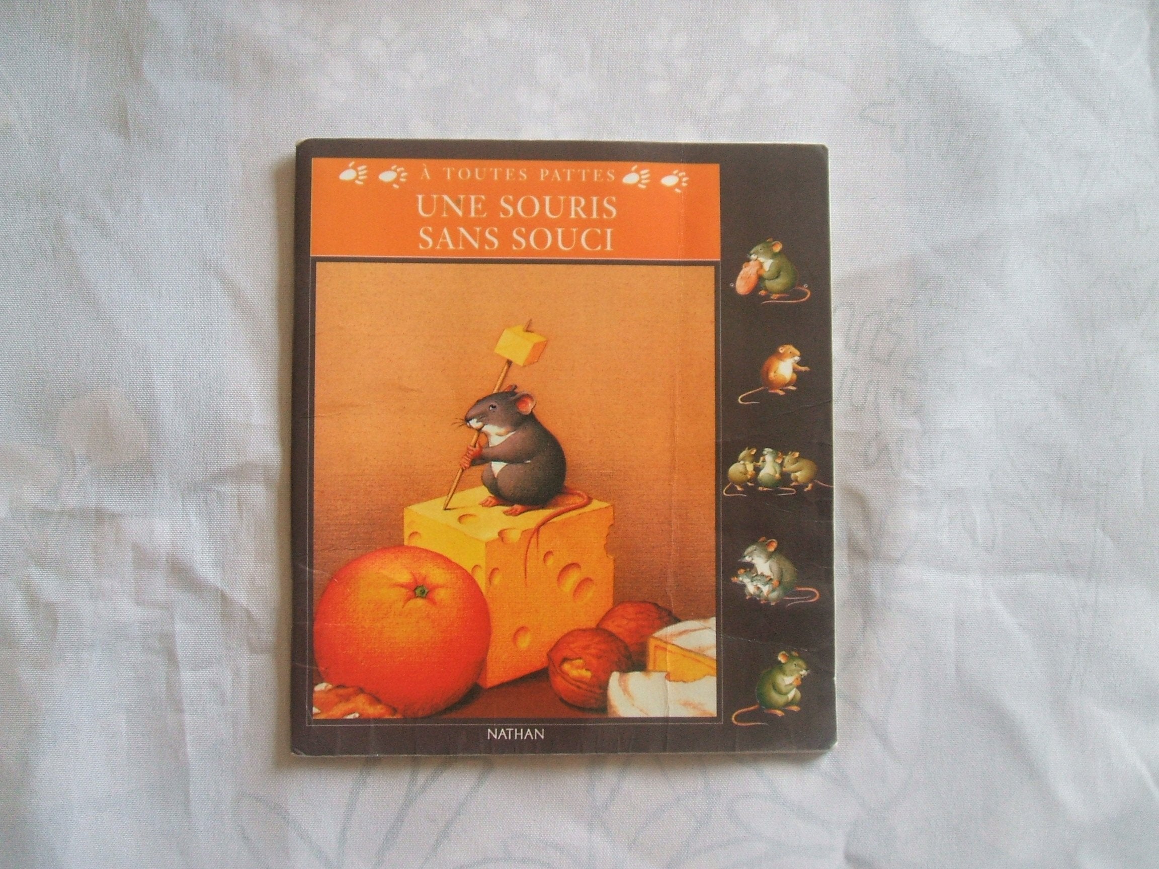 Une souris sans souci 9782092015902