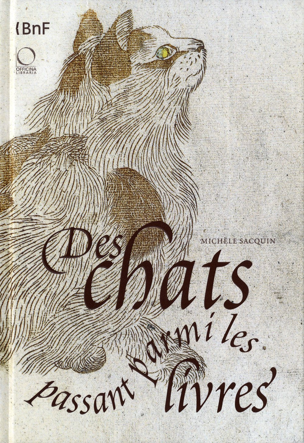 Des chats passant parmi les livres 9782717724394