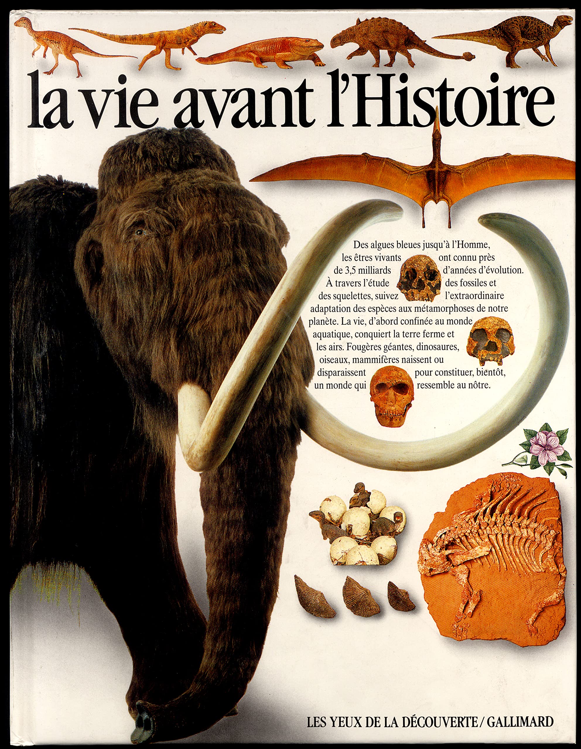 LA VIE AVANT L'HISTOIRE 9782070583393