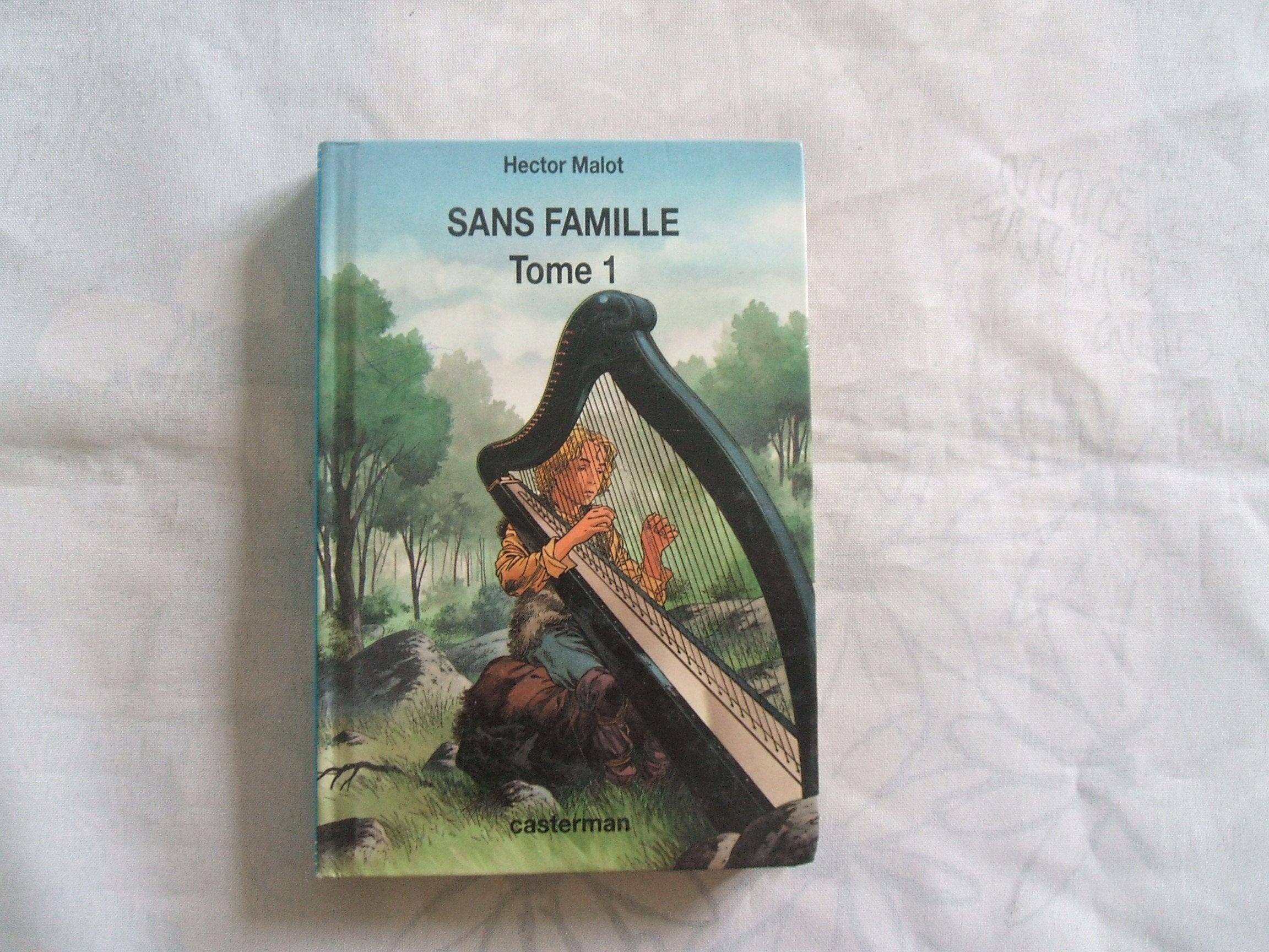 Sans famille Tome 1 9782203135314
