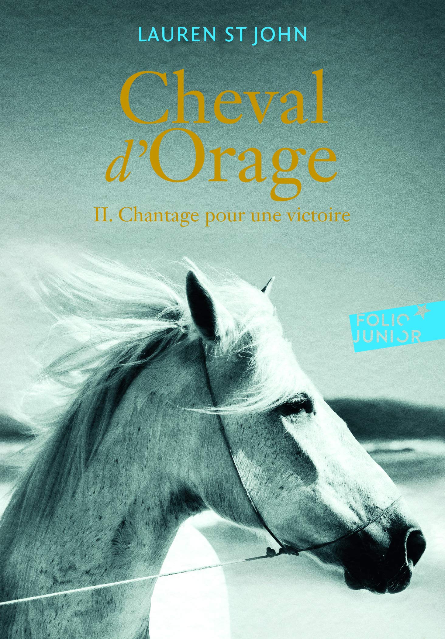 CHEVAL D'ORAGE T2 9782070650385