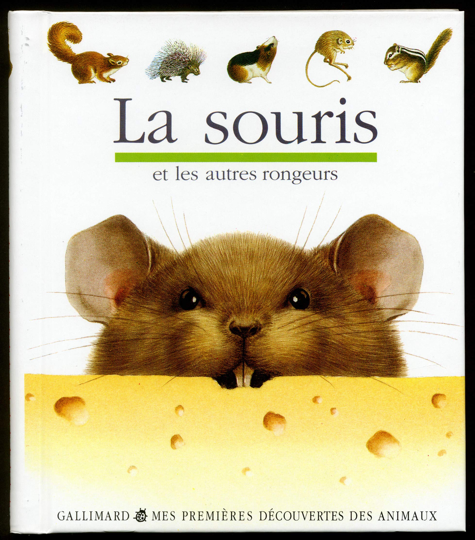 La souris et autres rongeurs 9782070566433