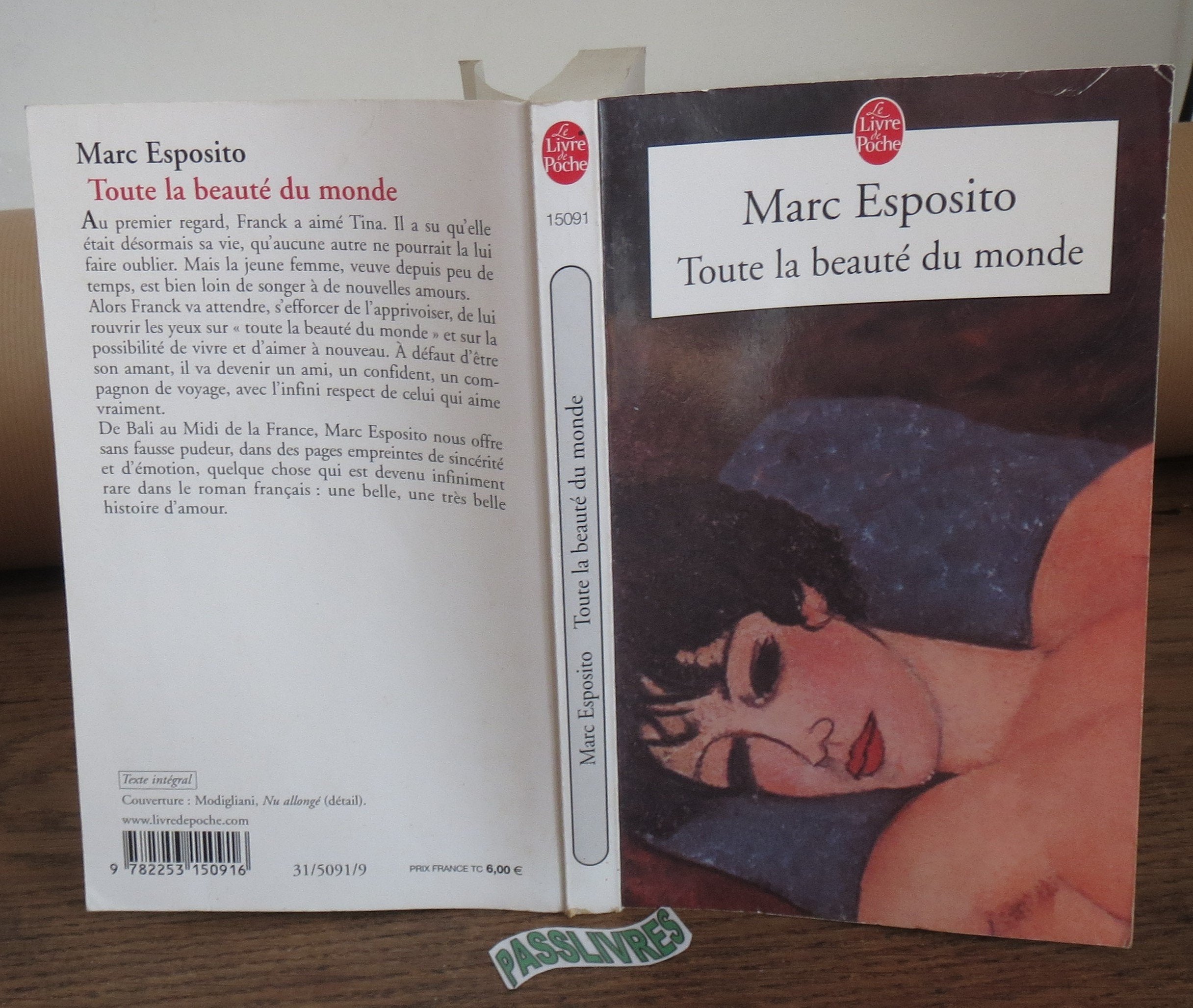 Toute la beauté du monde 9782253150916