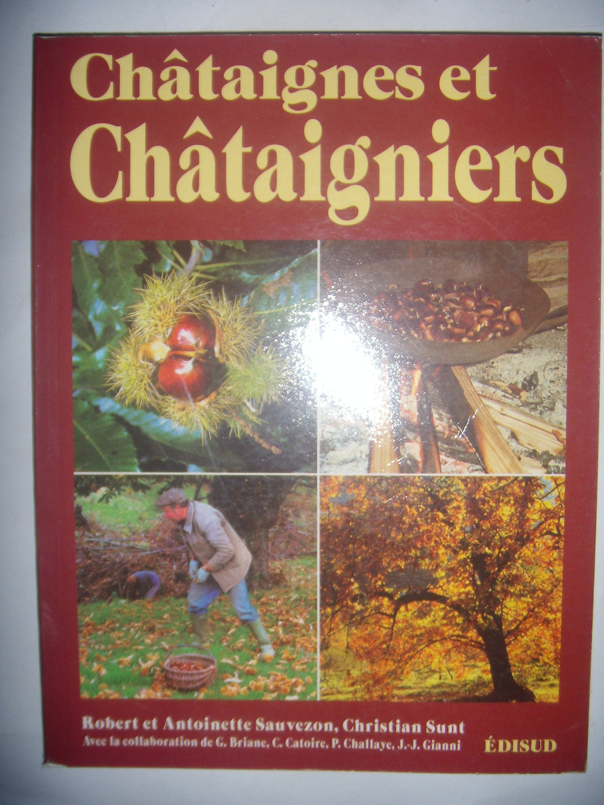 Châtaignes châtaigniers en régions méditerranéennes françaises 9782744901867