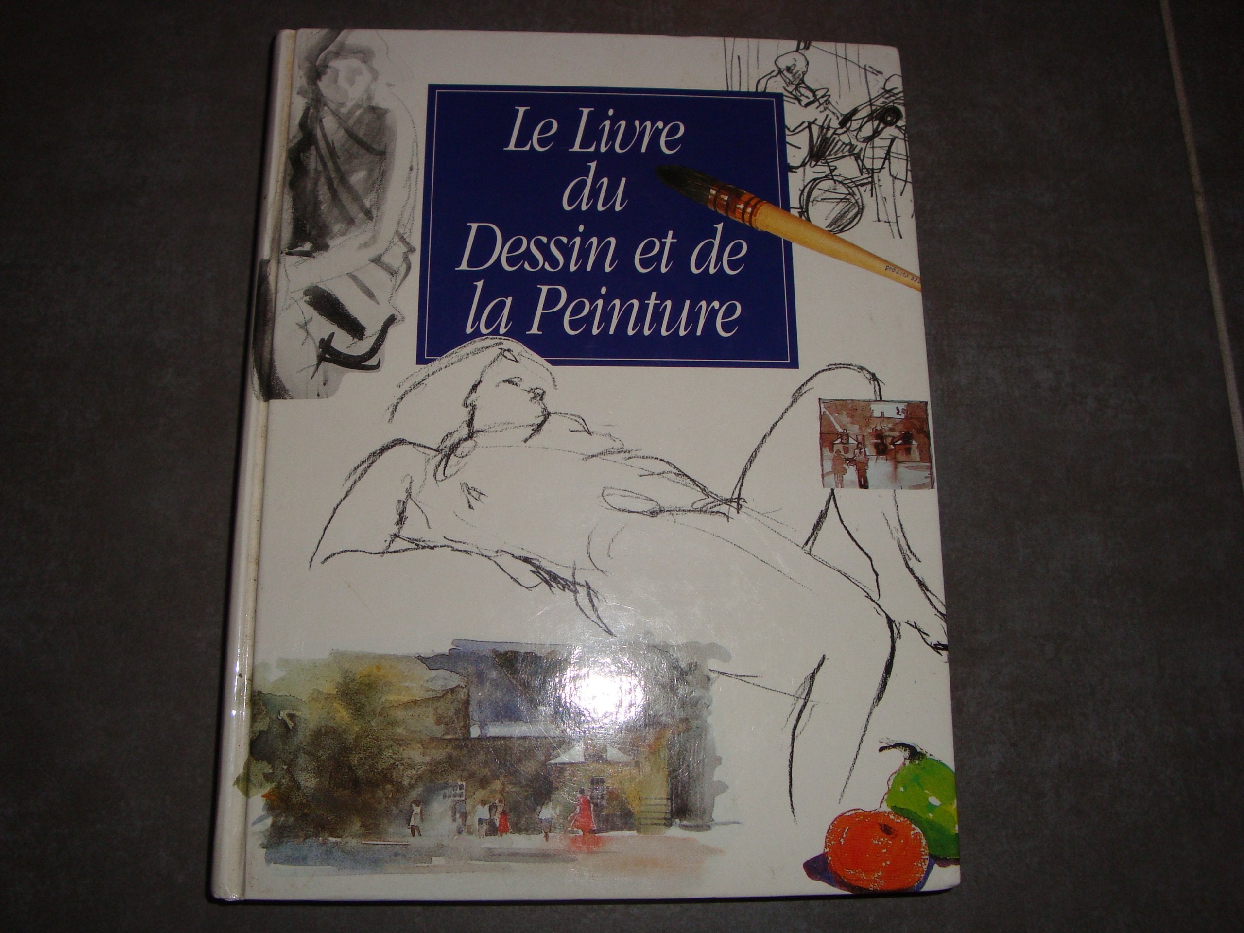 Le livre du dessin et de la peinture 9782724281378