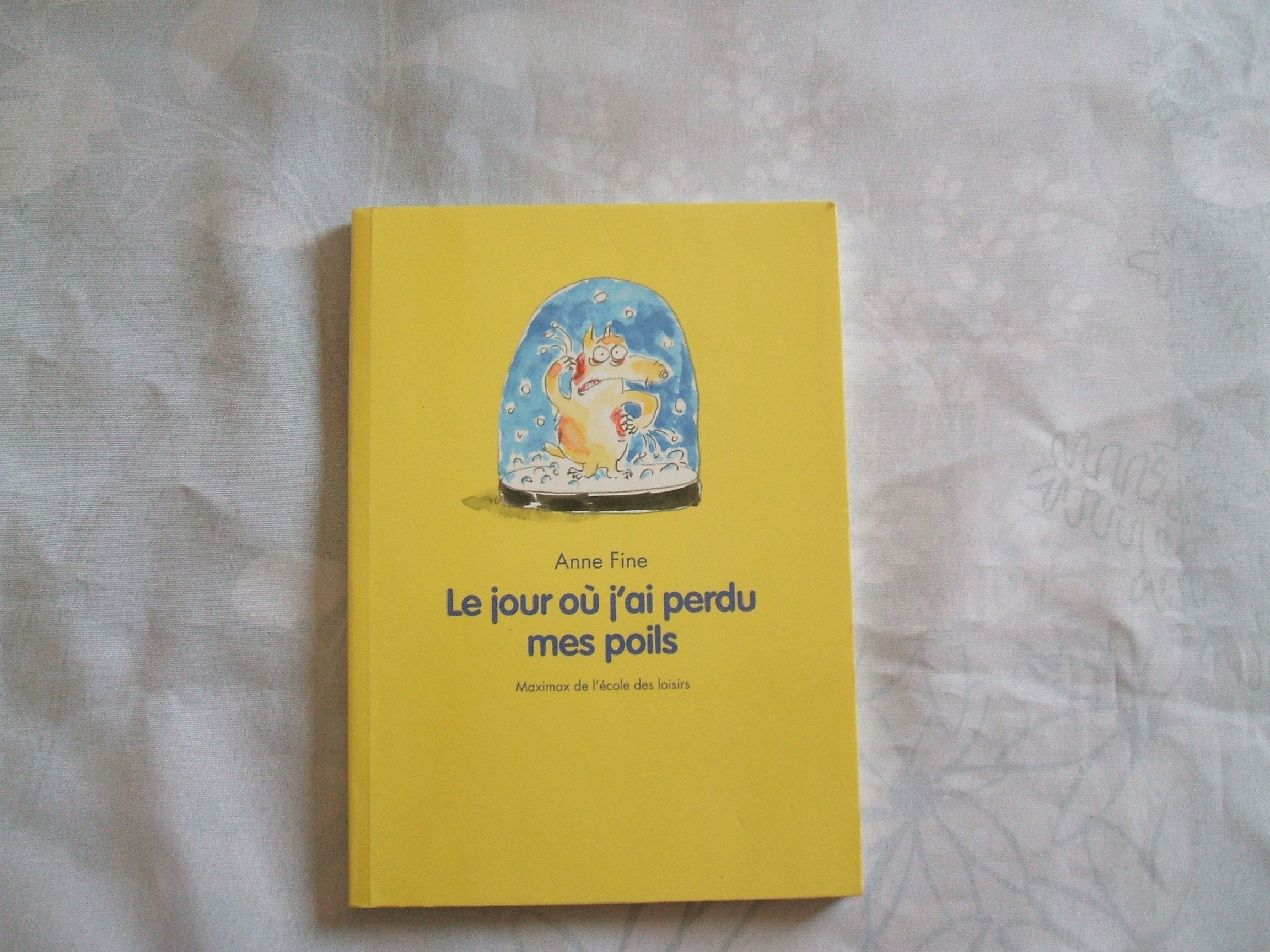 Le jour où j'ai perdu mes poils 9782211072175