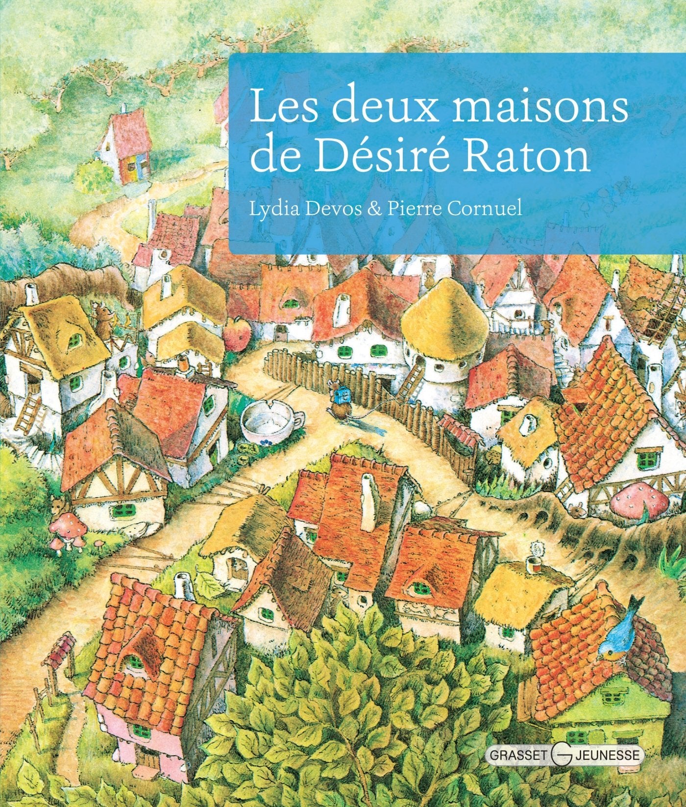 Les deux maisons de Désiré Raton 9782246787068