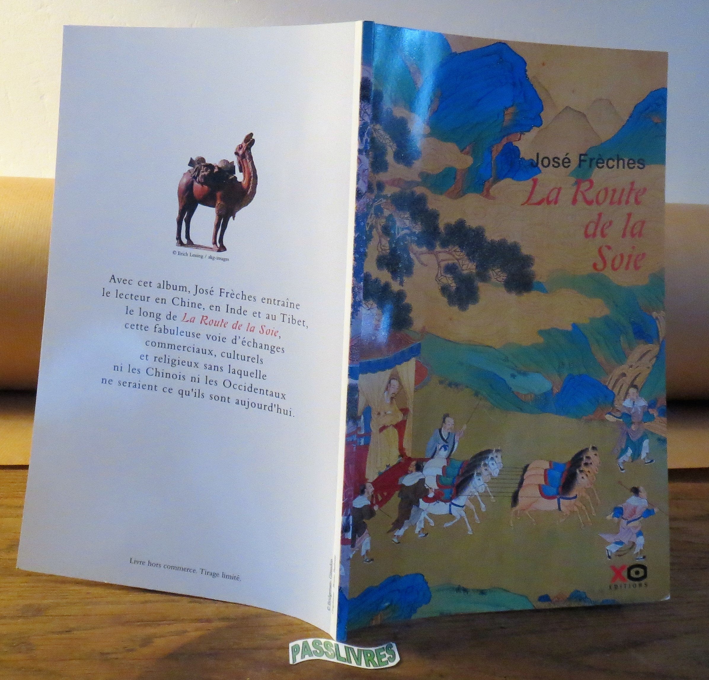 La Route de la soie 9782702888216