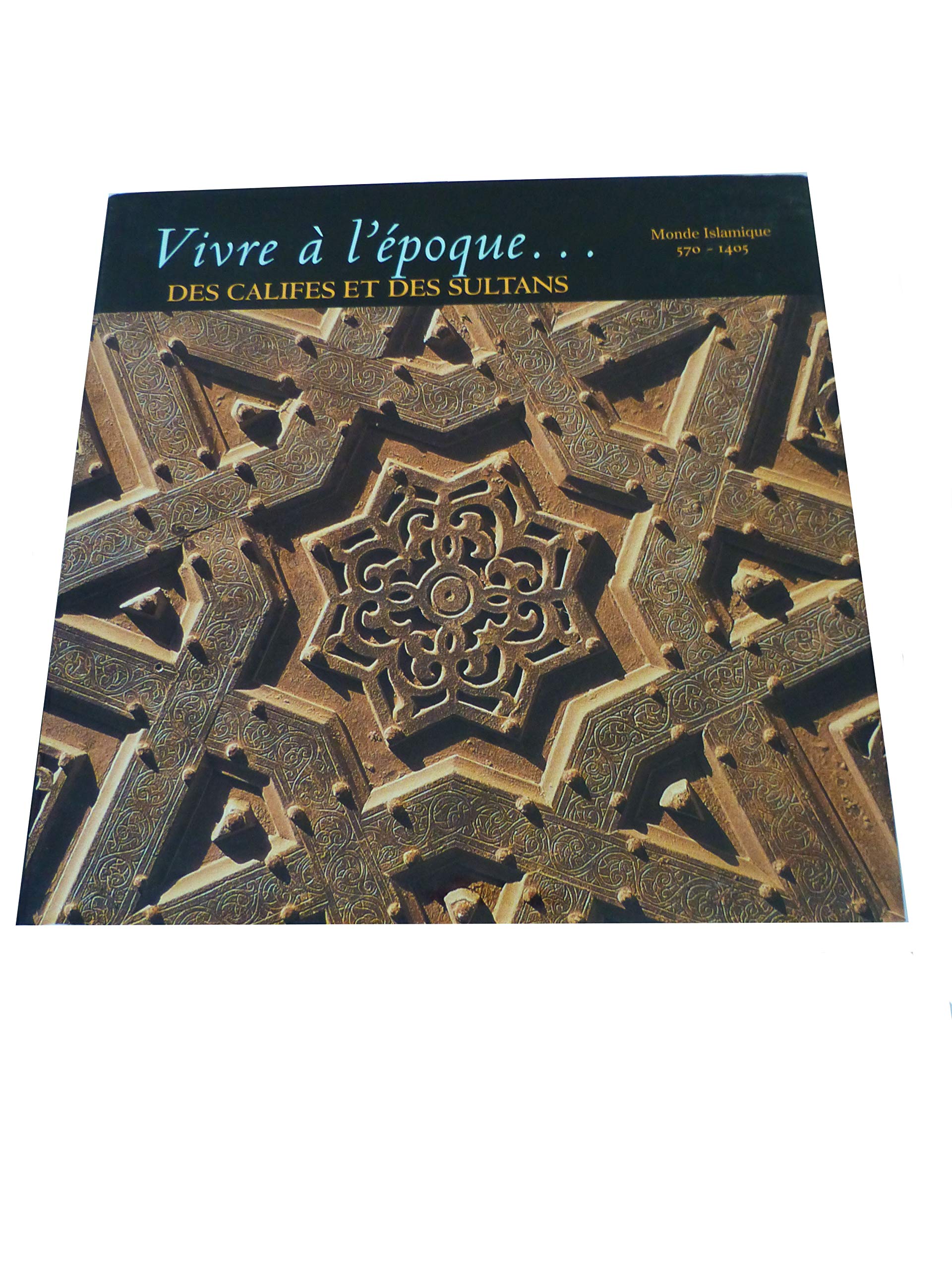 Vivre à l'époque des Califes et des Sultans 9782734409656