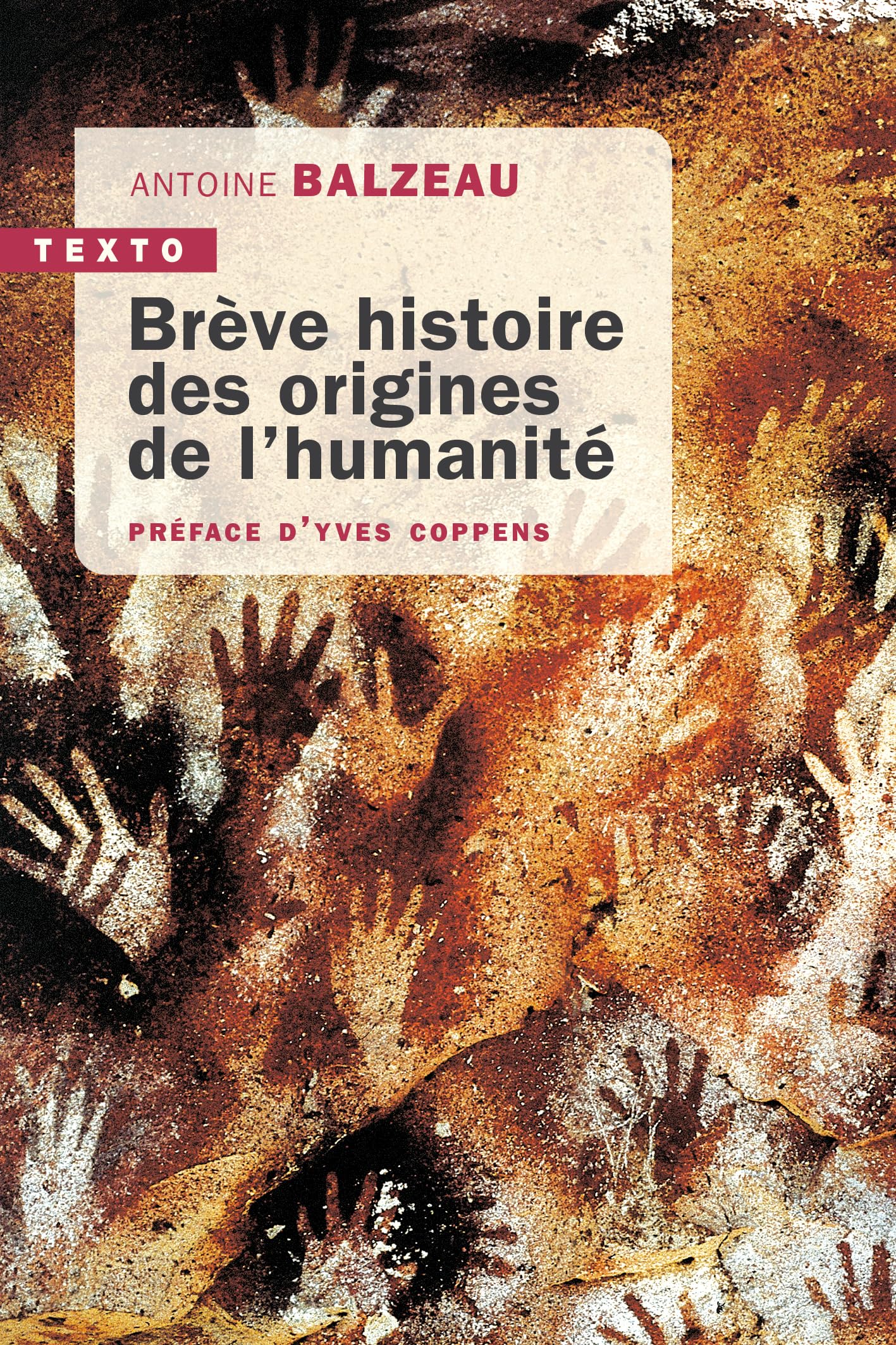 Brève histoire des origines de l'humanité 9791021059665