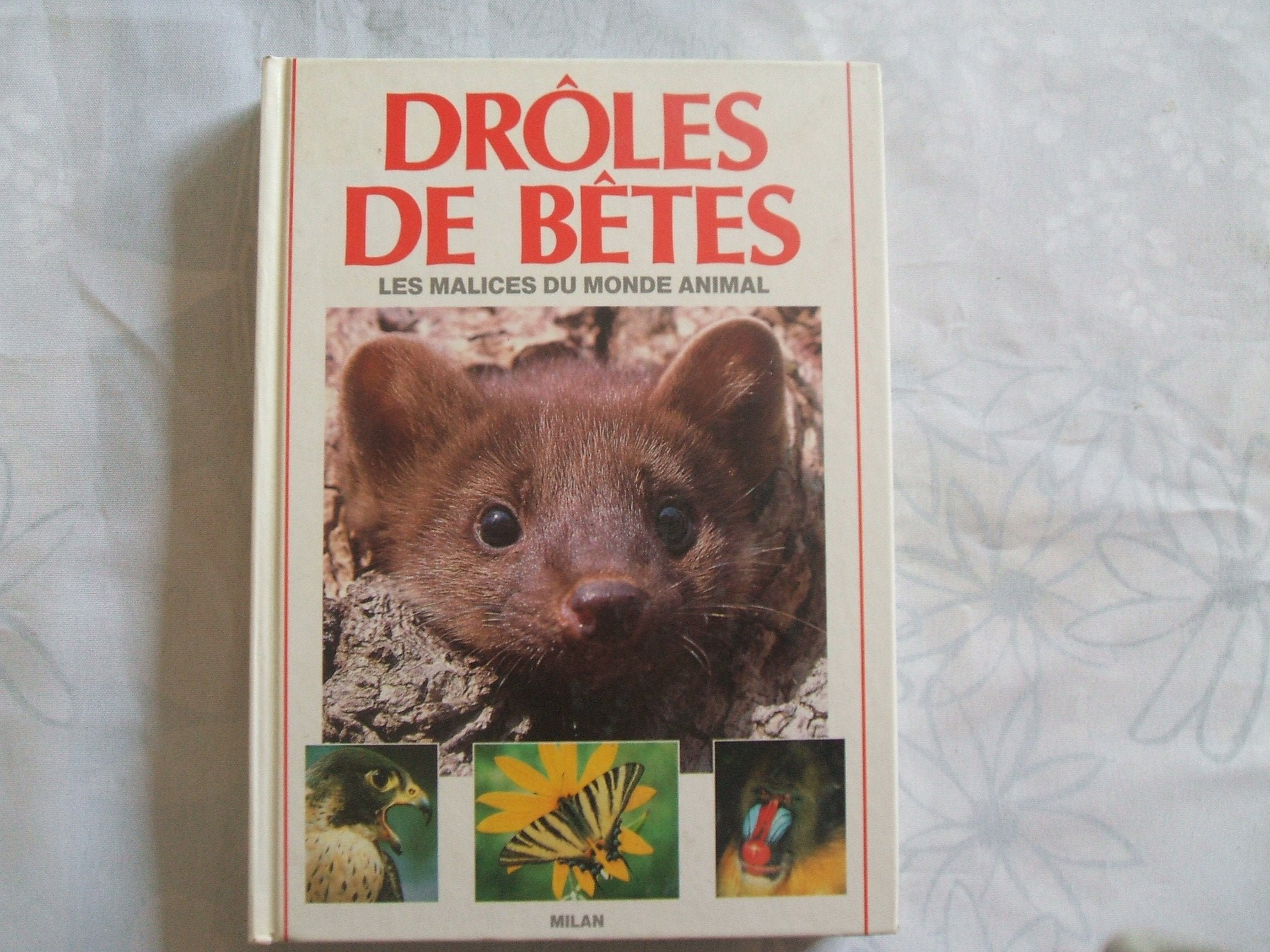 Drôles de bêtes : Les Malices du monde animal 9782867263354