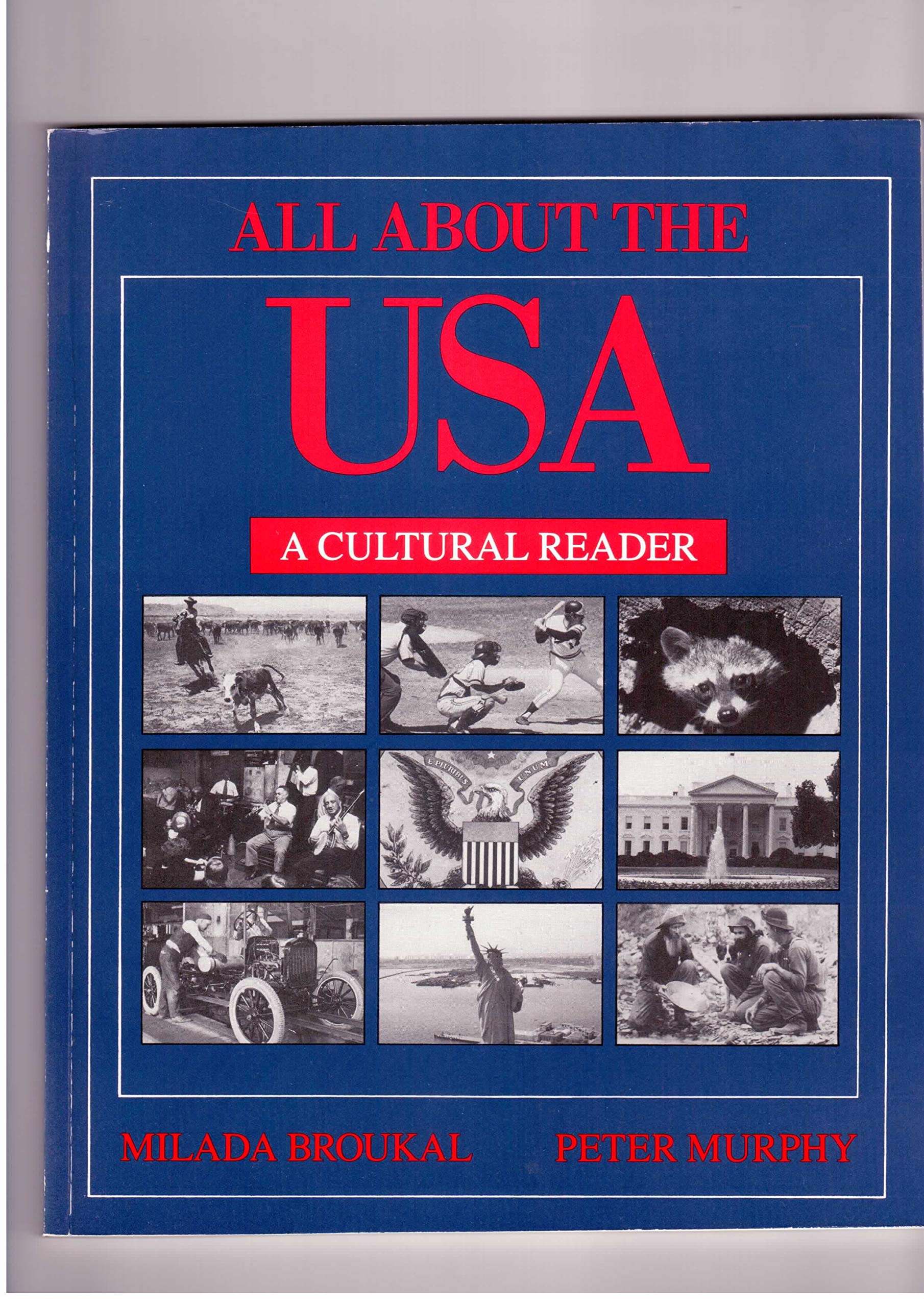 ALL ABOUT THE USA 9780582213166