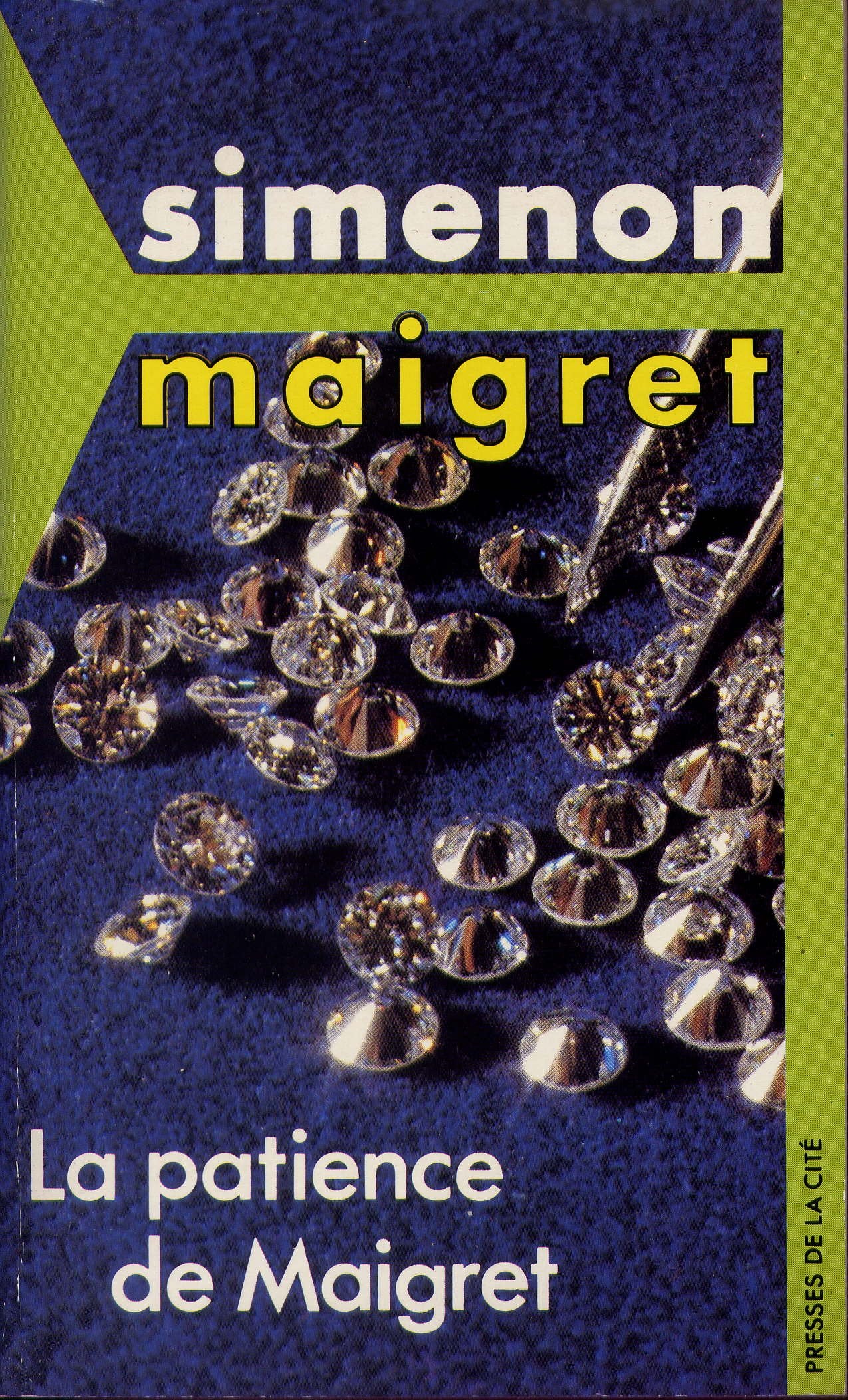 La patience de maigret / roman 9782258030398