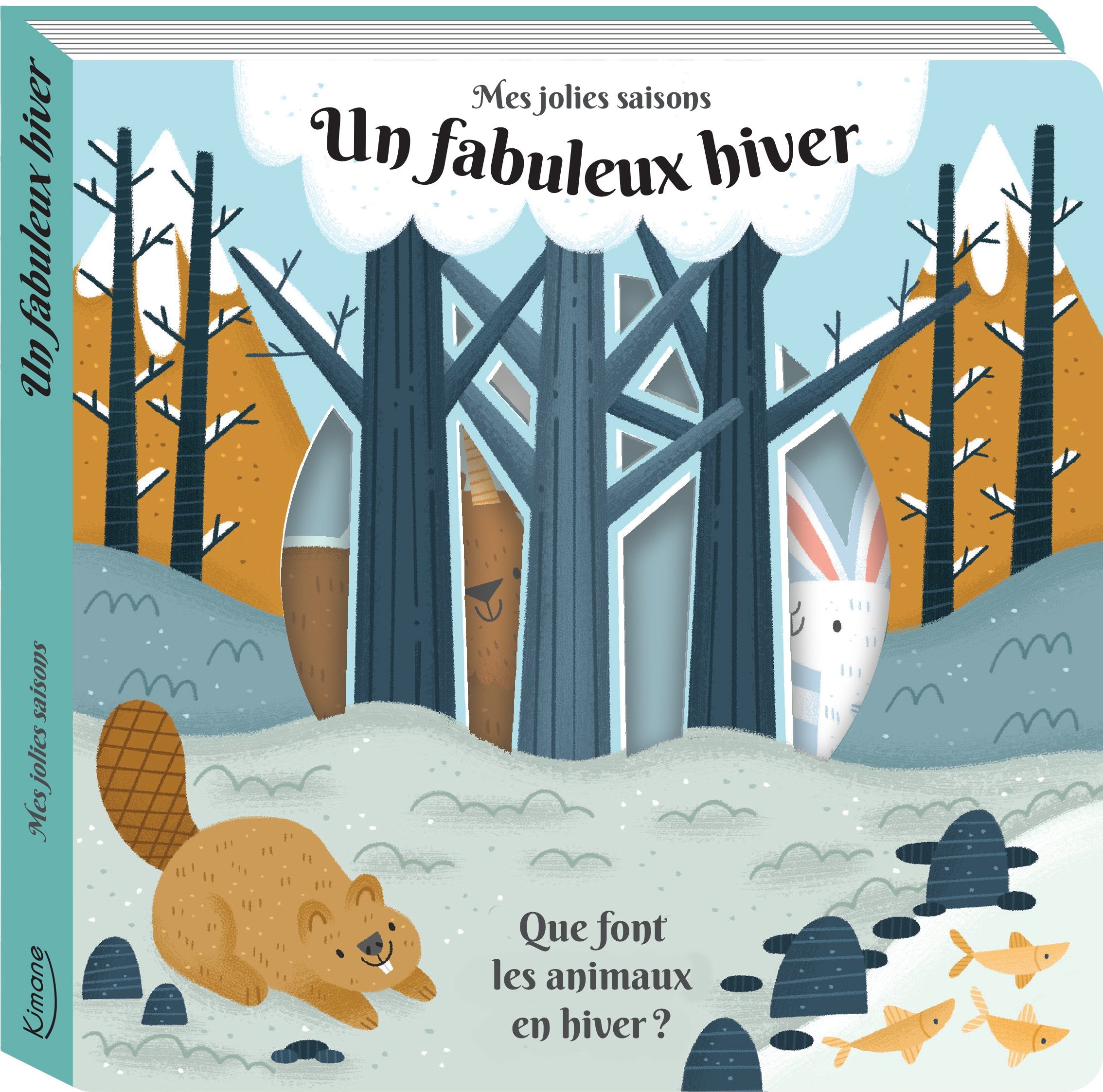 Mes jolies saisons - Un fabuleux hiver 9782368084892