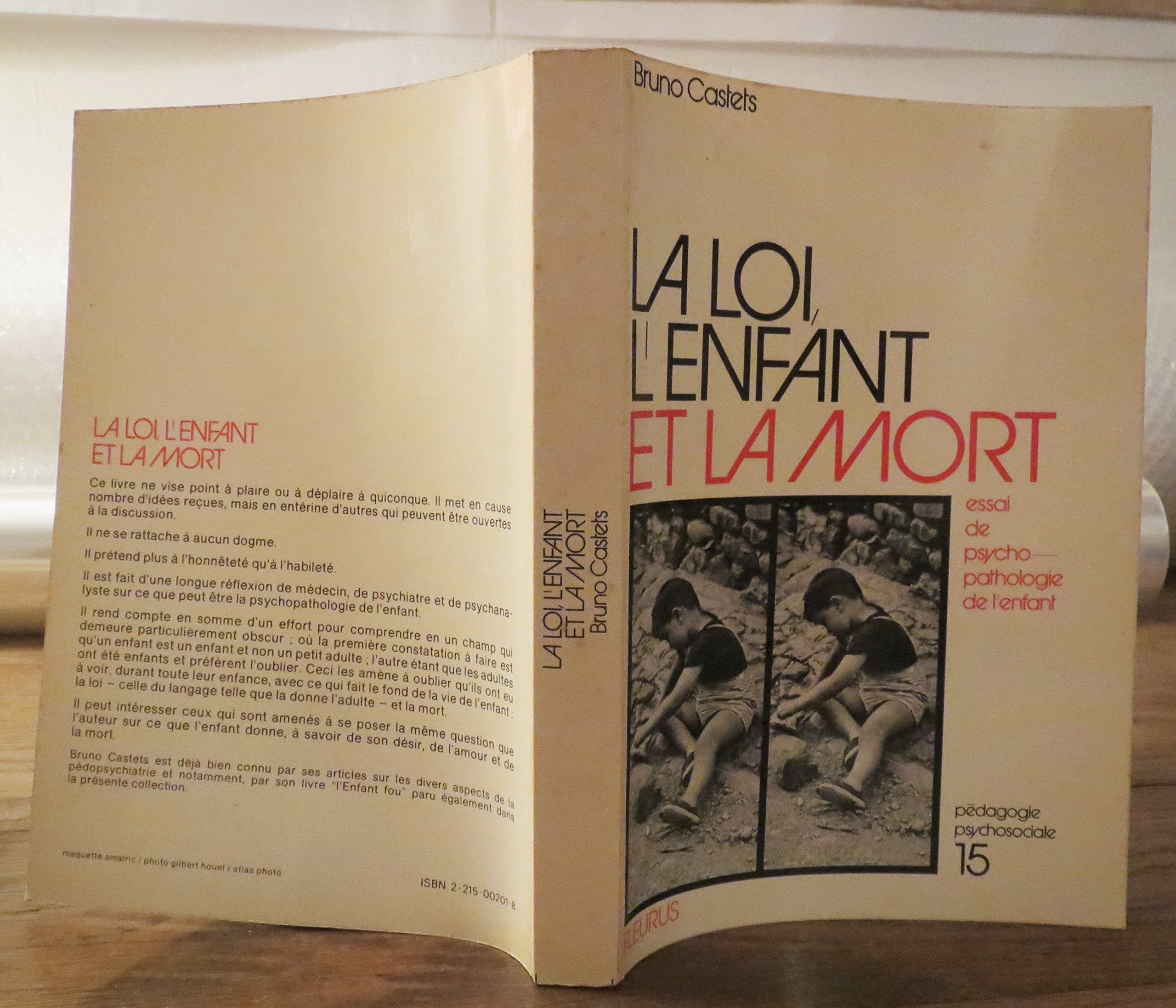 La loi, l'enfant et la mort : essai de psychopathologie de l'enfant 9782215002017