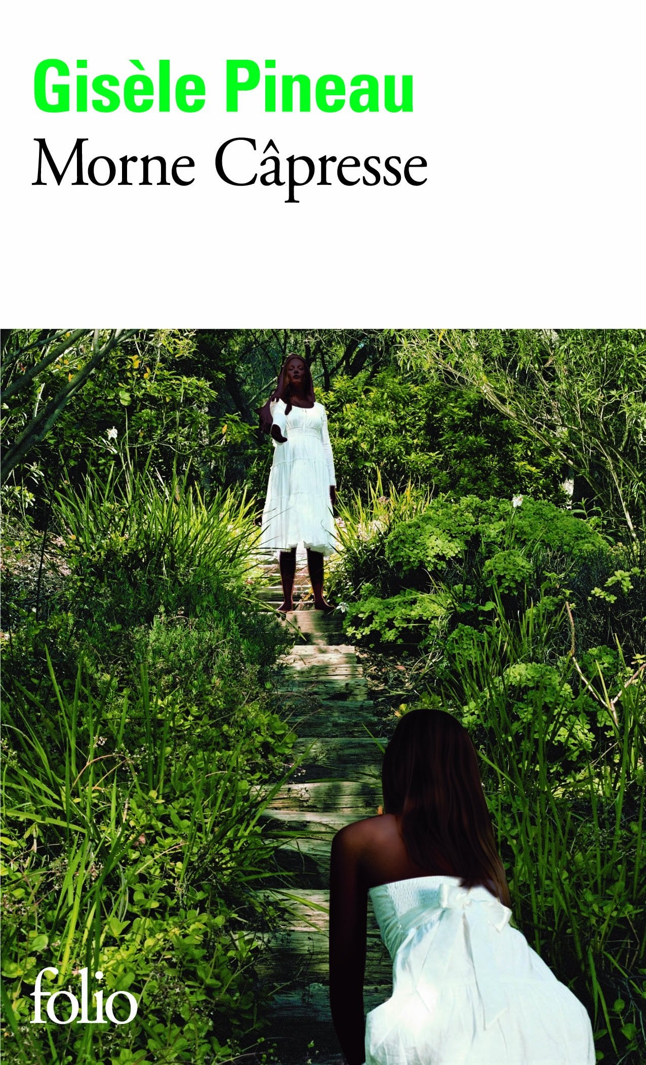 Morne Câpresse 9782070402540