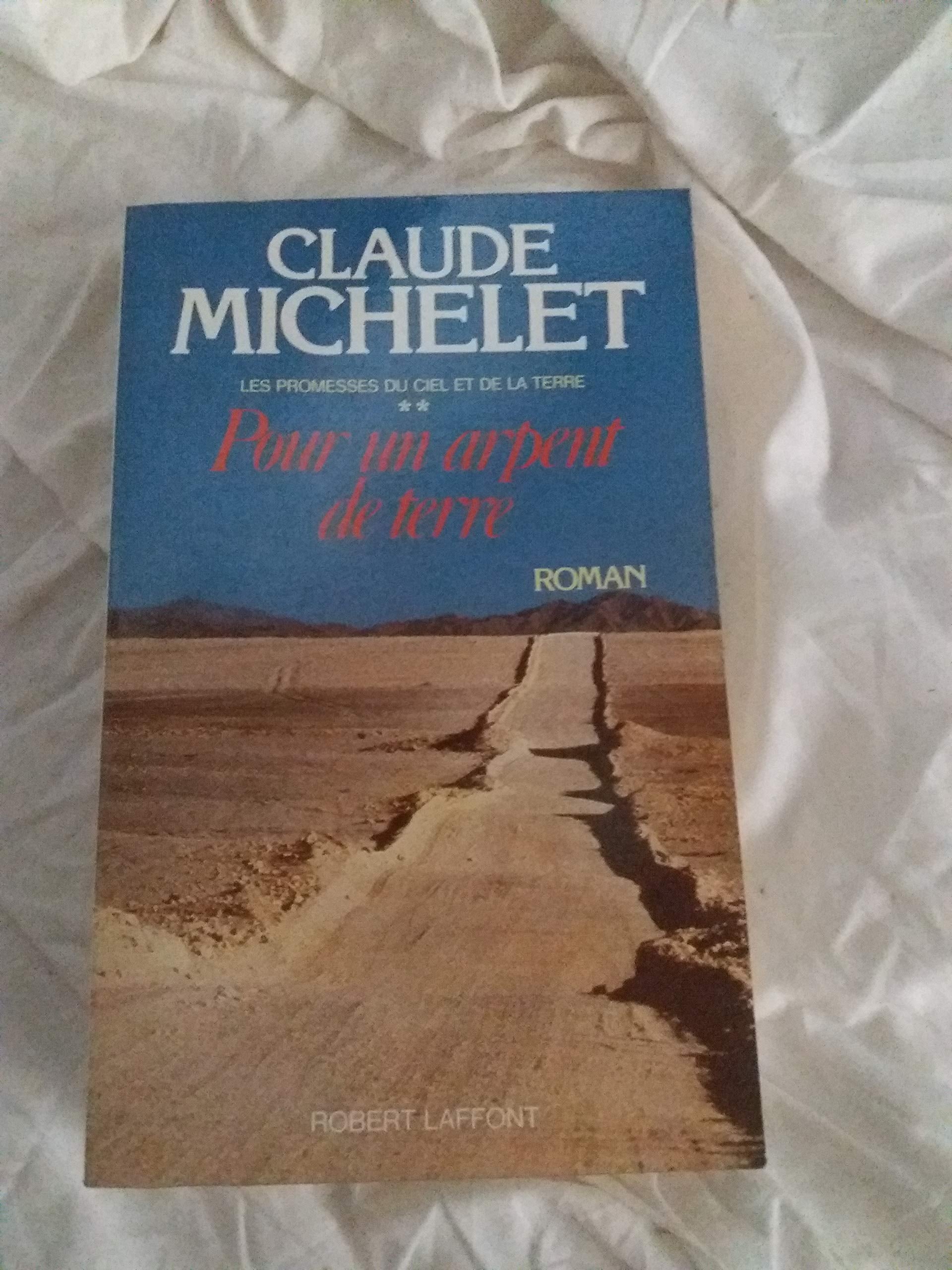 Les promesses du ciel et de la terre: Tome 2, Pour un arpent de terre 9782221052075