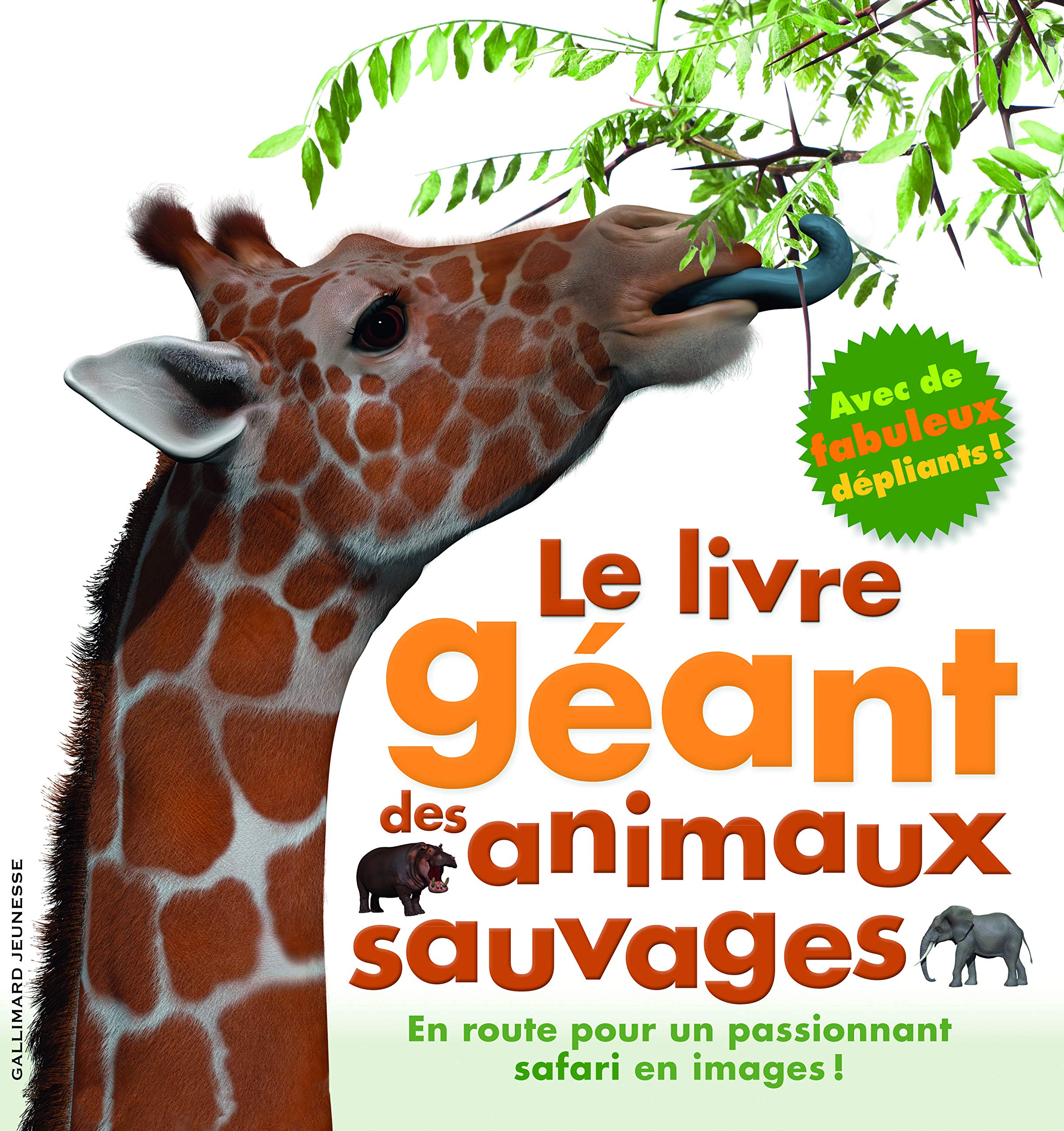LE LIVRE GEANT DES ANIMAUX 9782070658237