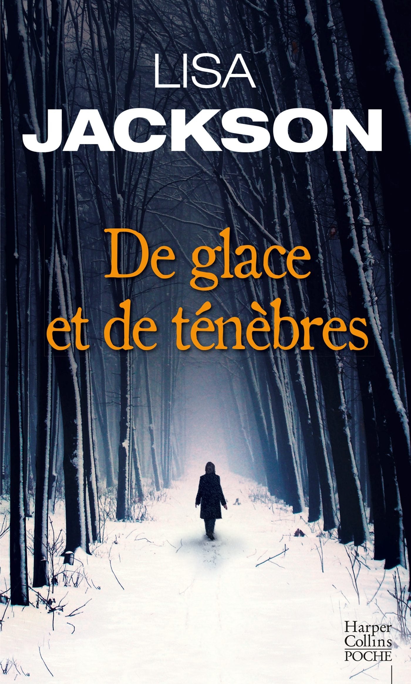 De glace et de ténèbres 9791033900979