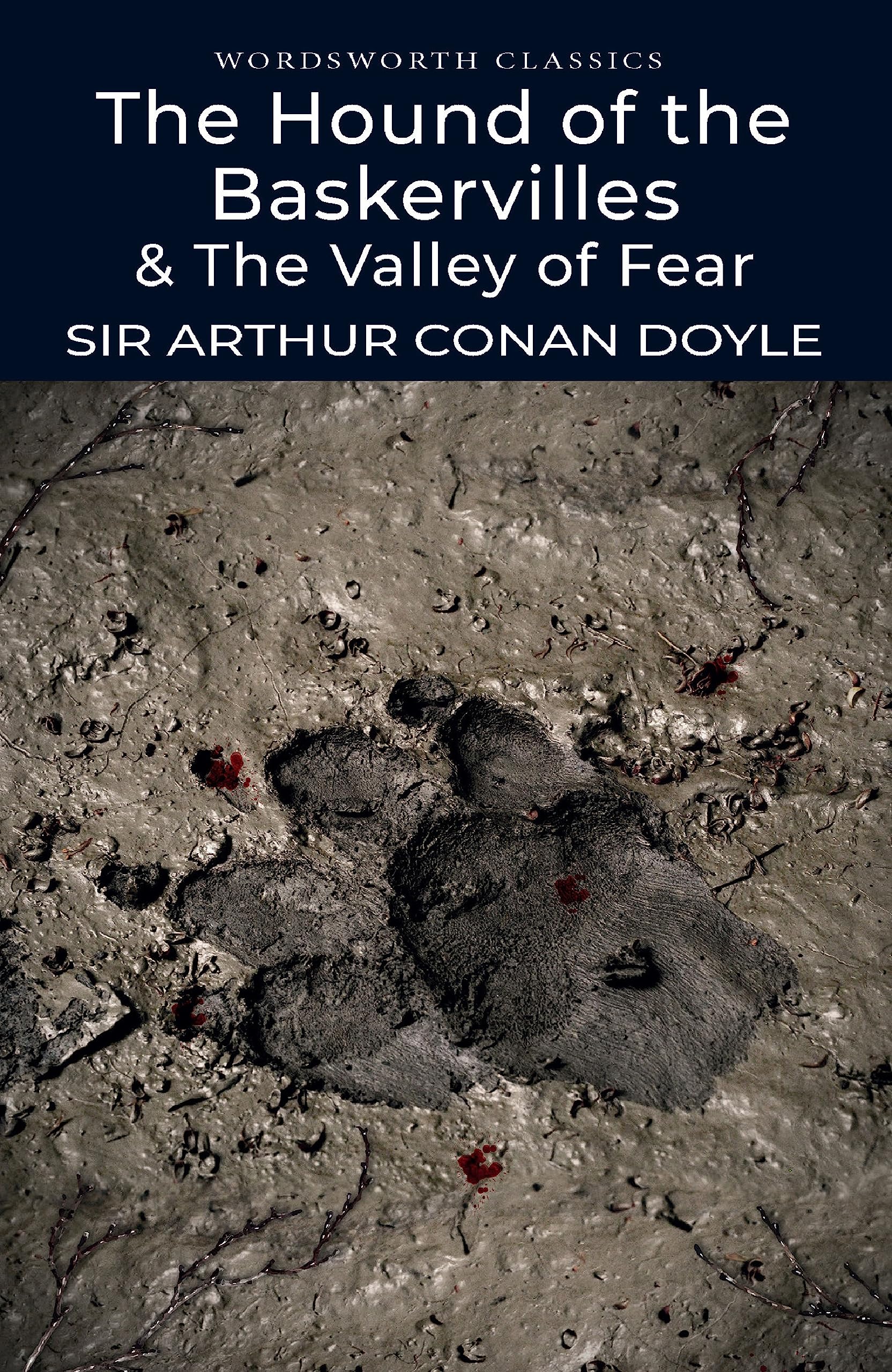 Hound of the Baskervilles 9781840224009