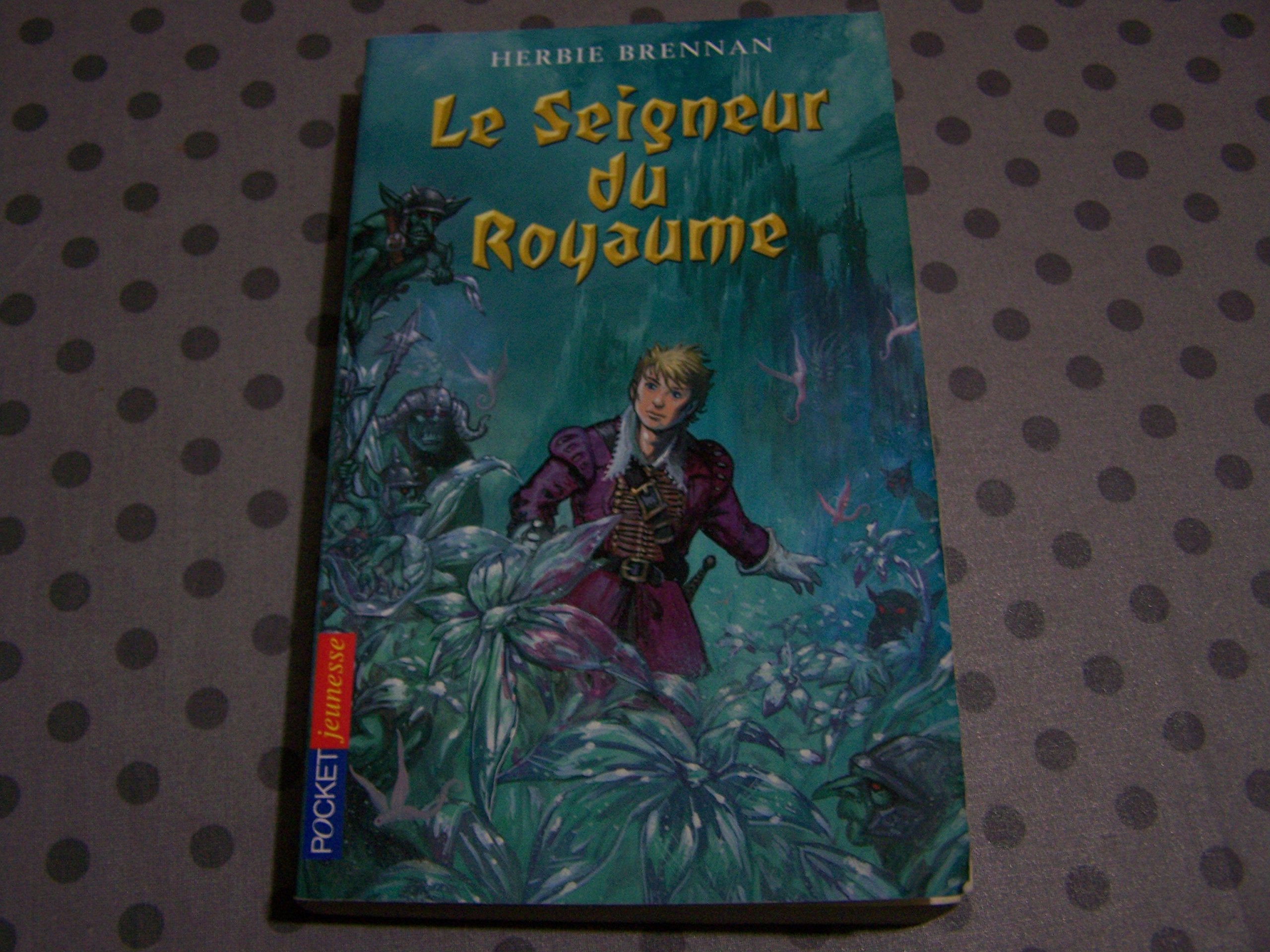 GUERRE DES FEES T03 SEIGNEUR 9782266167420