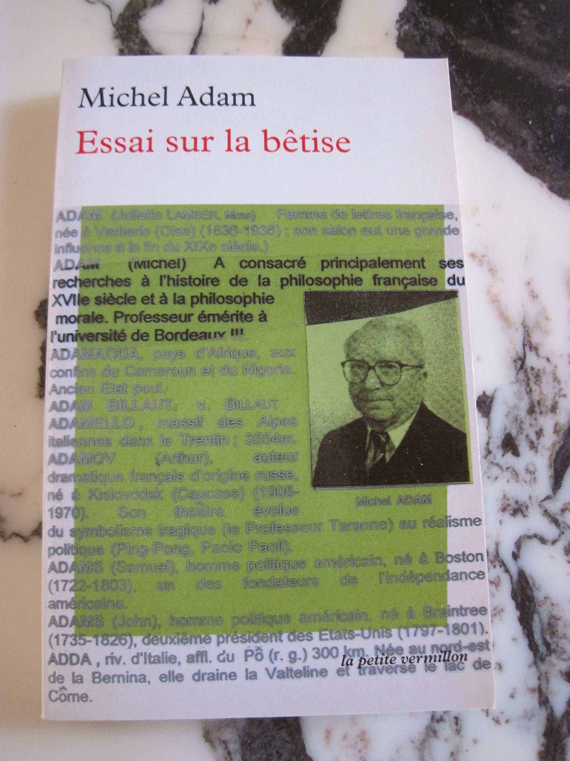 Essai sur la bêtise 9782710326946