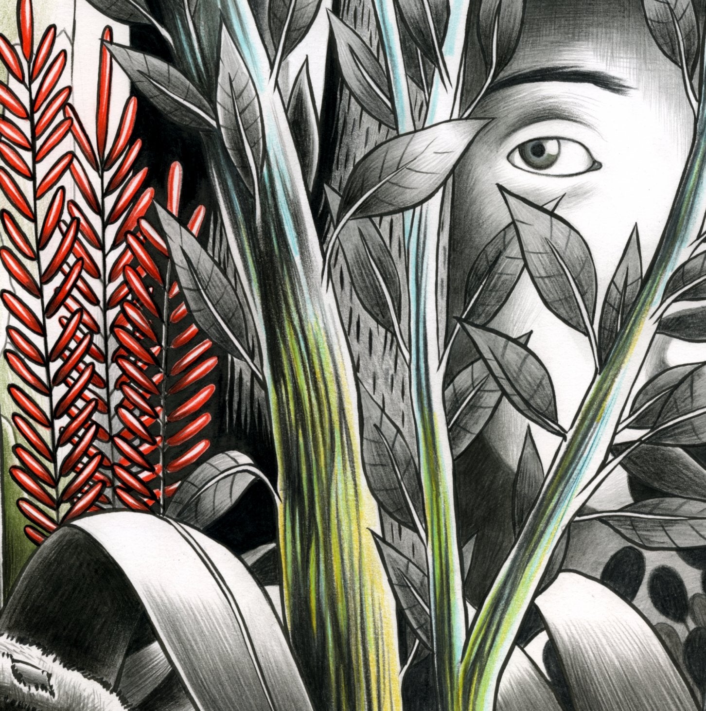 Vers Les Lueurs-Digi/Ltd- 3596972636721