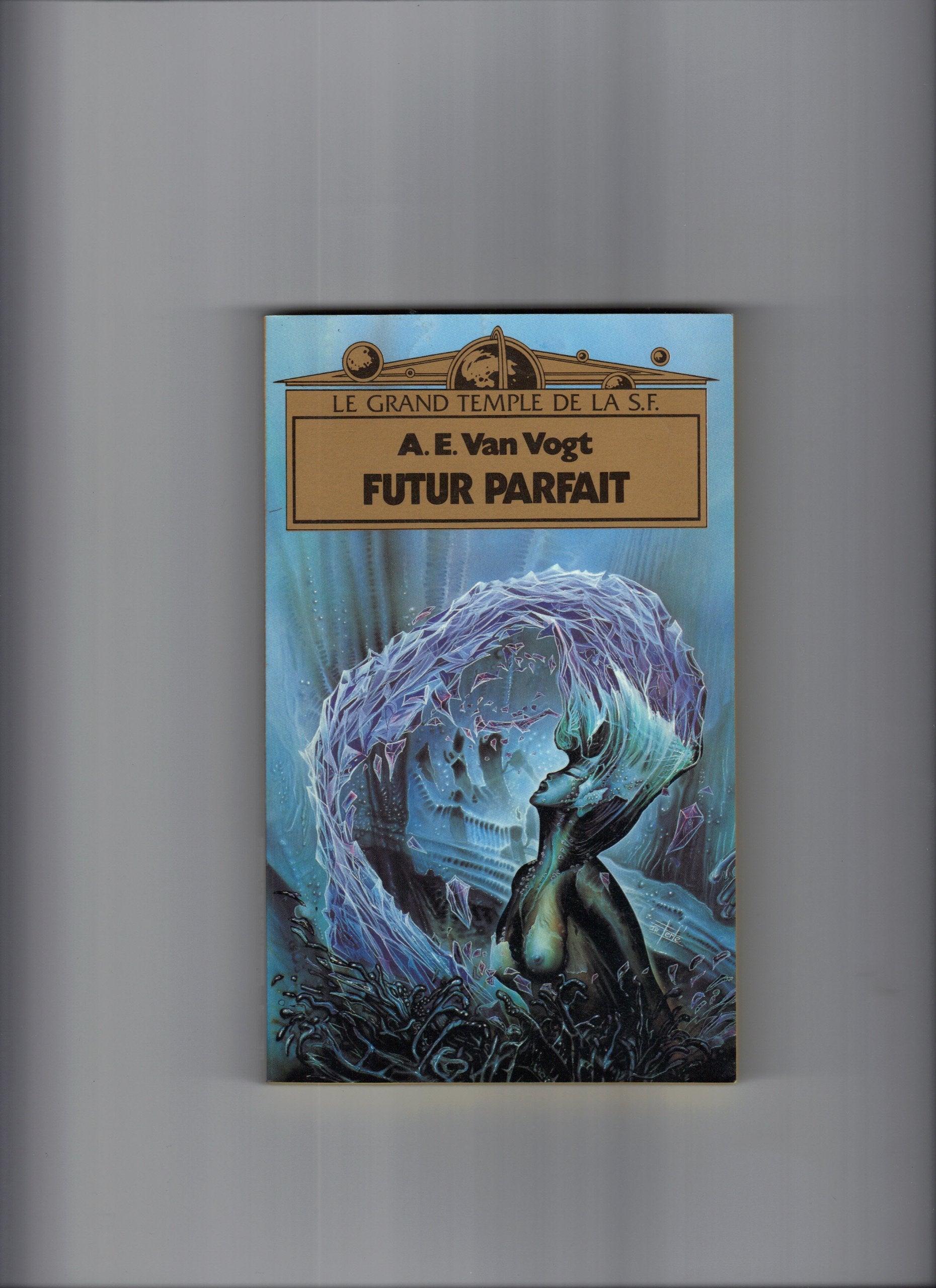 Futur parfait 9782266023443