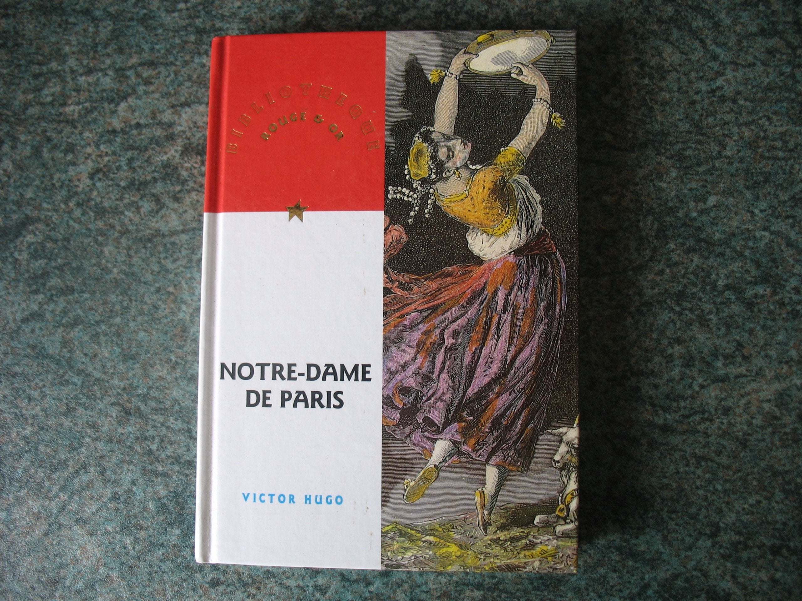 Notre-Dame de Paris 9782094903313