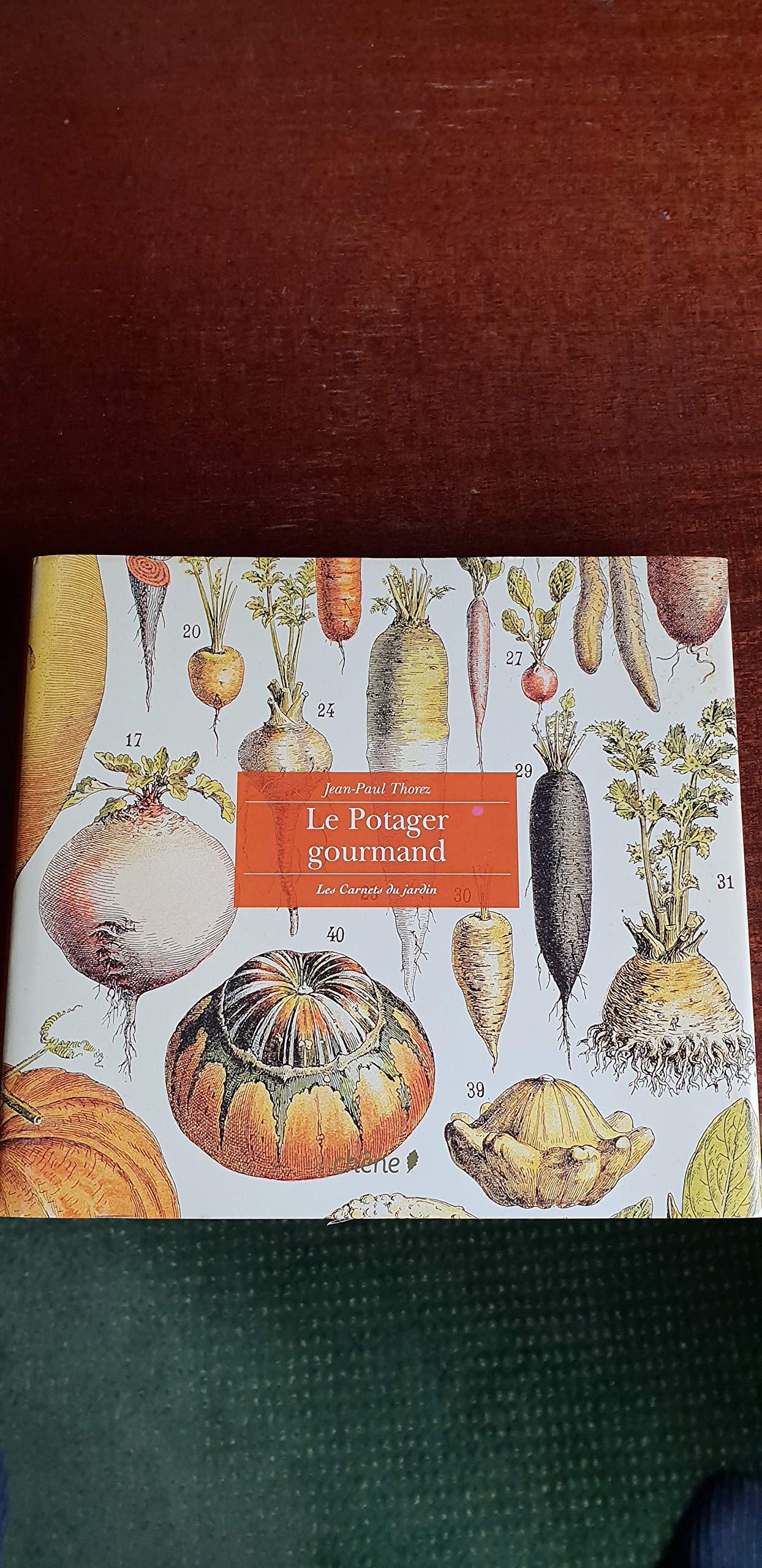 Le Potager gourmand 9782842776077