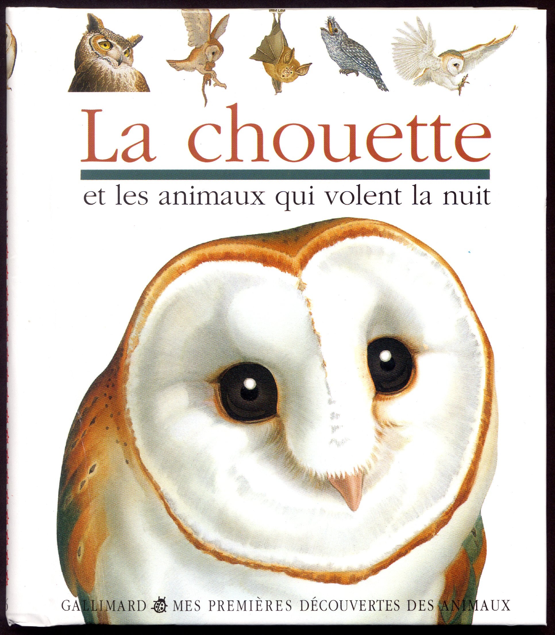 La chouette et les animaux qui volent la nuit 9782070583867