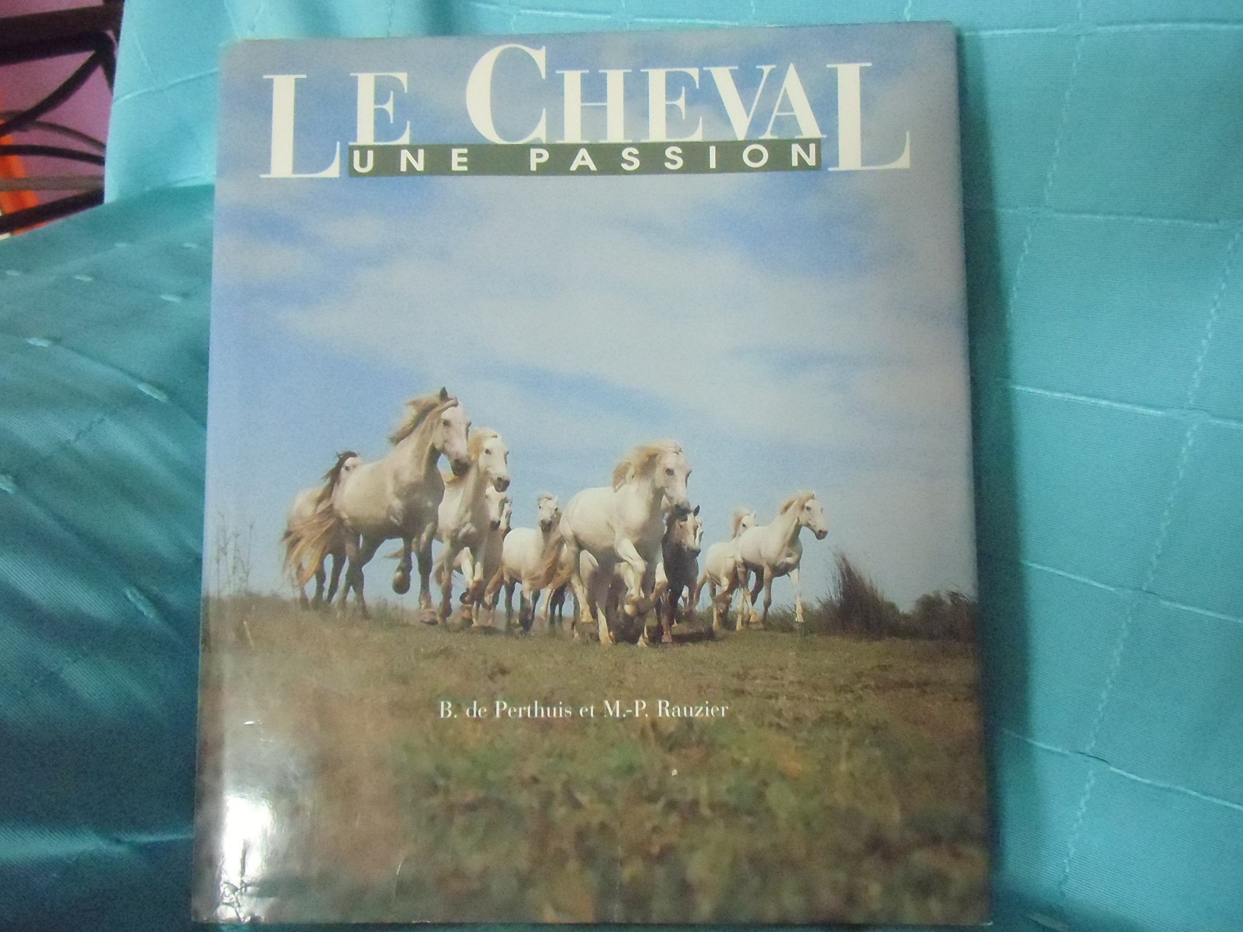 Le cheval 9782743405038