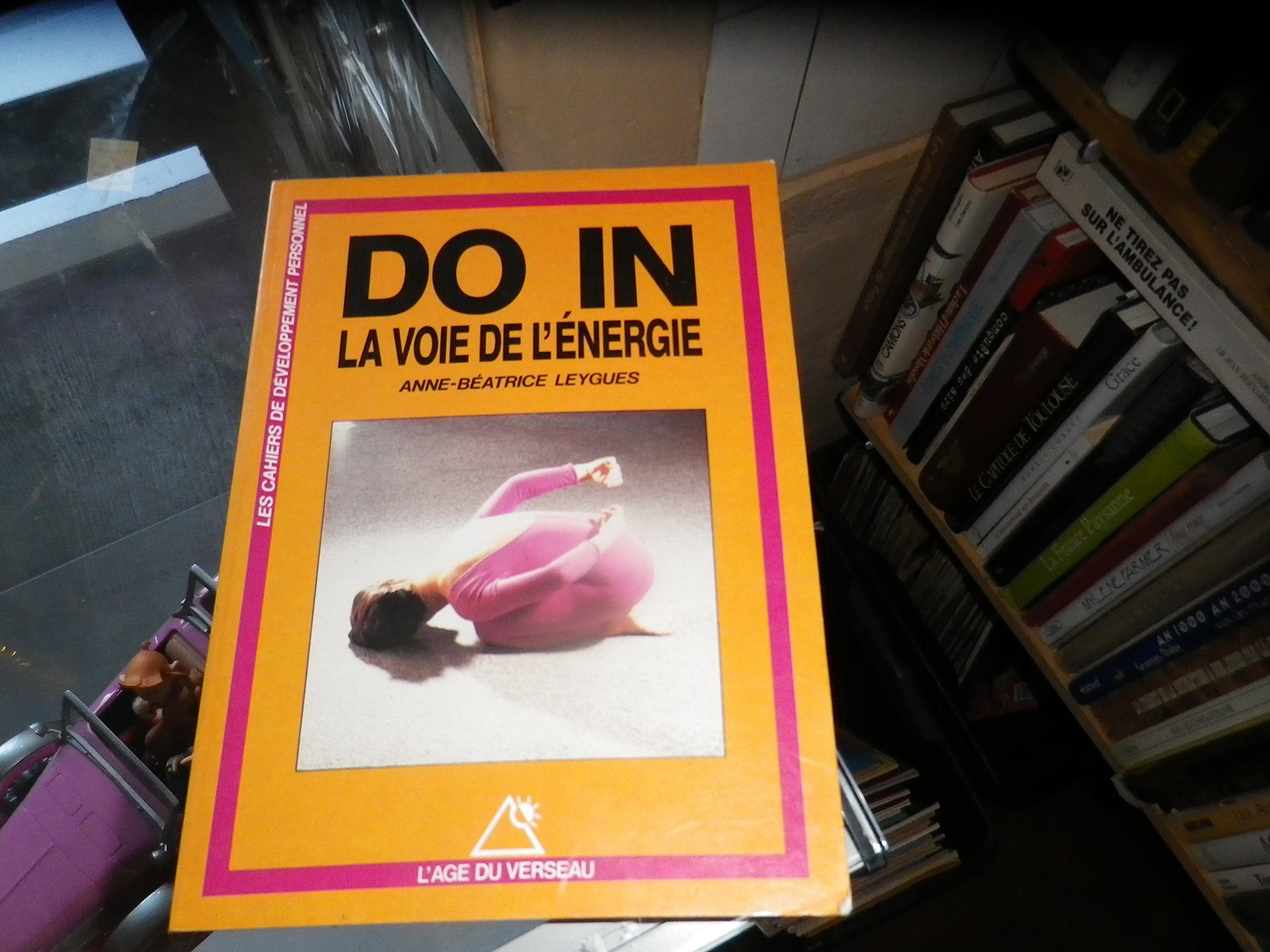 Do in, la voie de l'energie 9782714426543