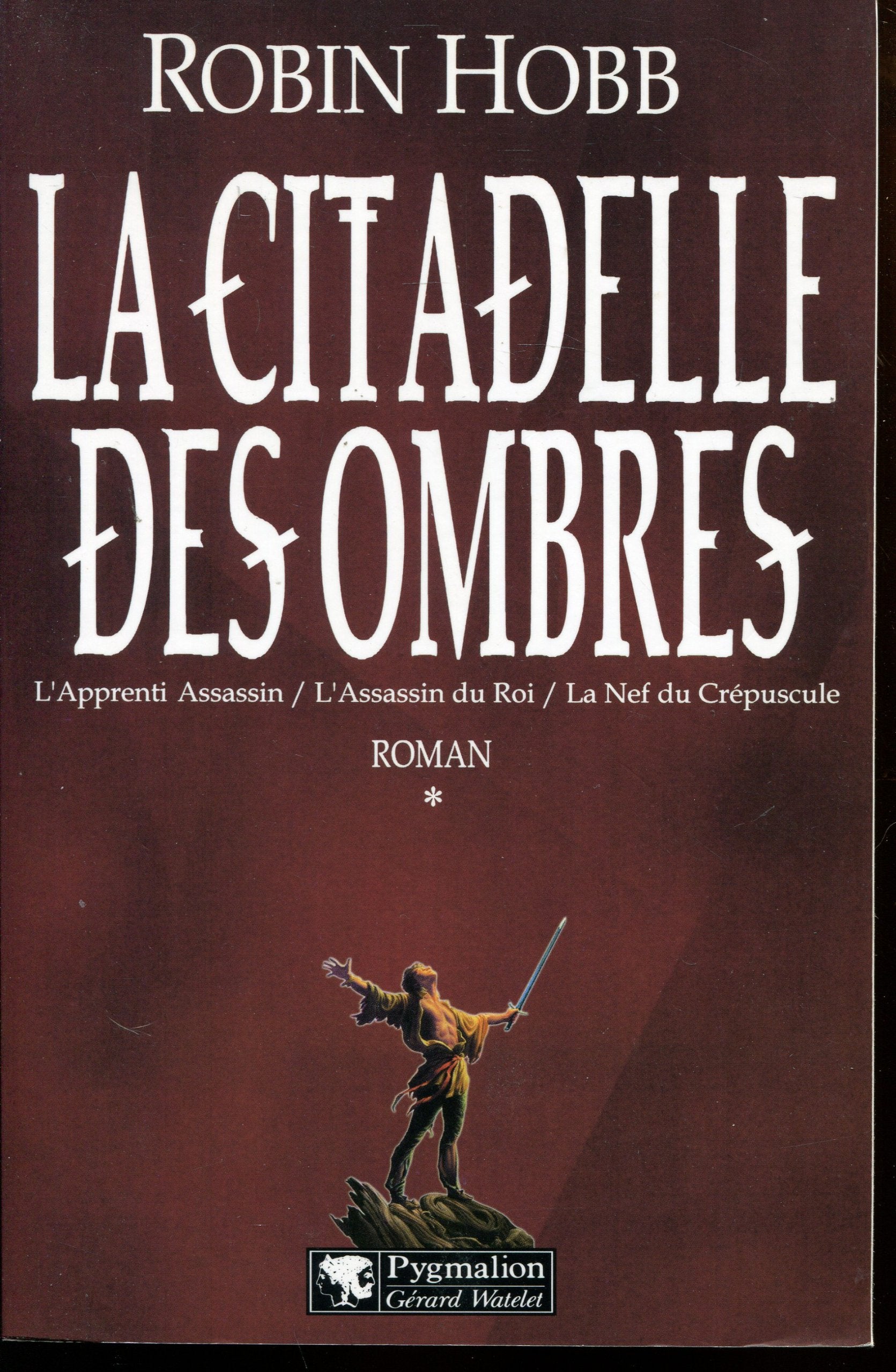 La Citadelle des Ombres, tome 1 9782857046271