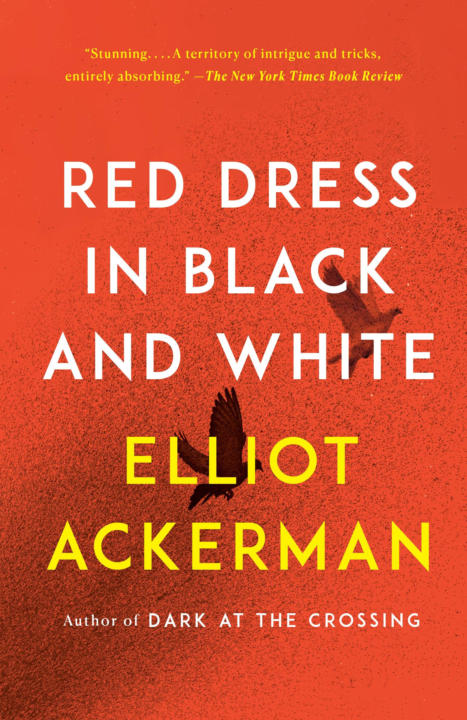 Red Dress in Black and White: A novel 9780525563471
