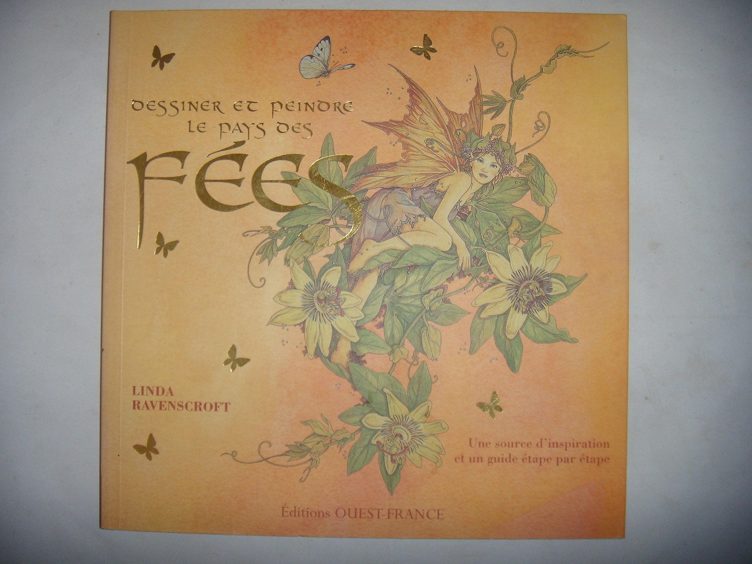 Dessiner et peindre le pays des fées 9782737338601