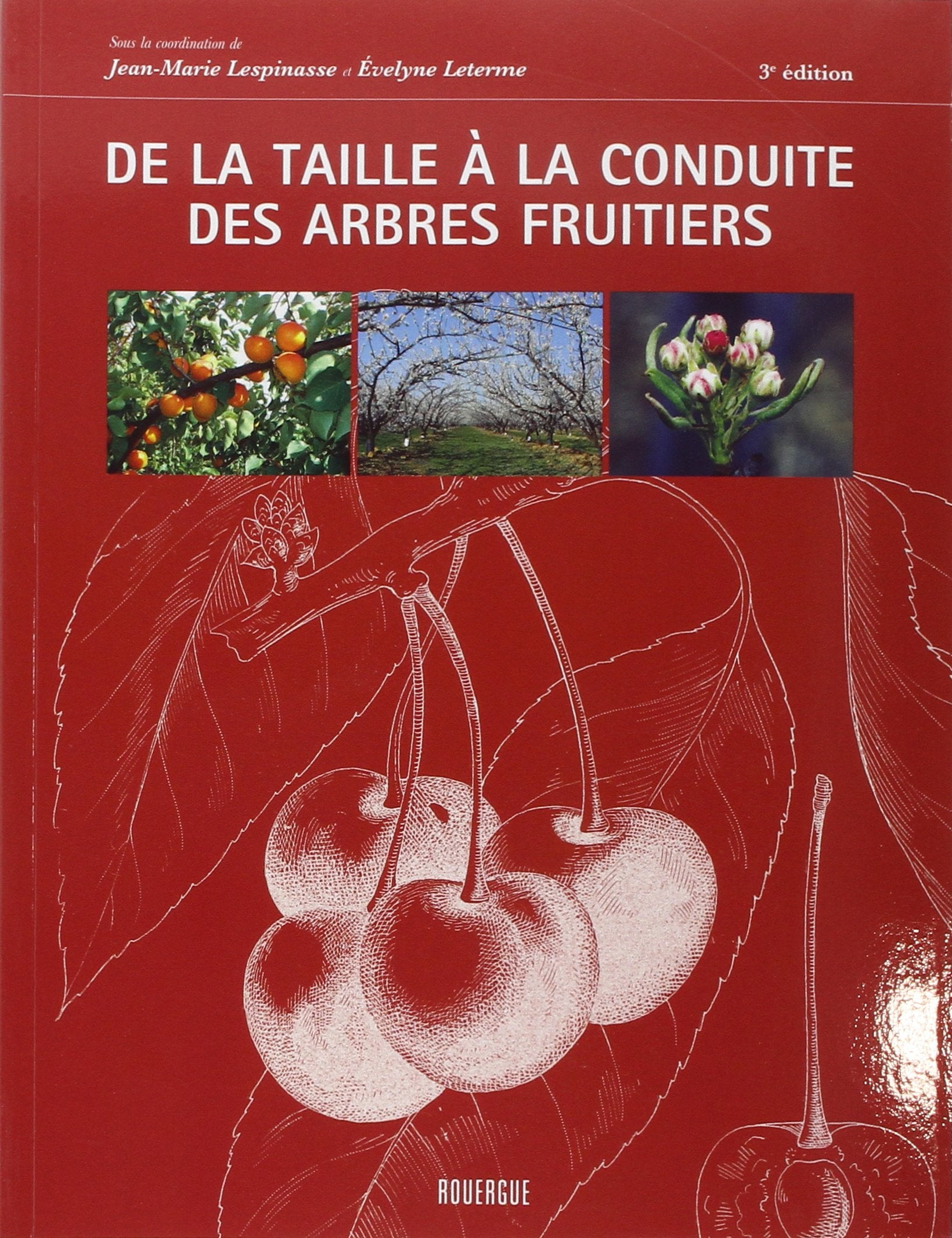 De la taille à la conduite des arbres fruitiers 9782812602283