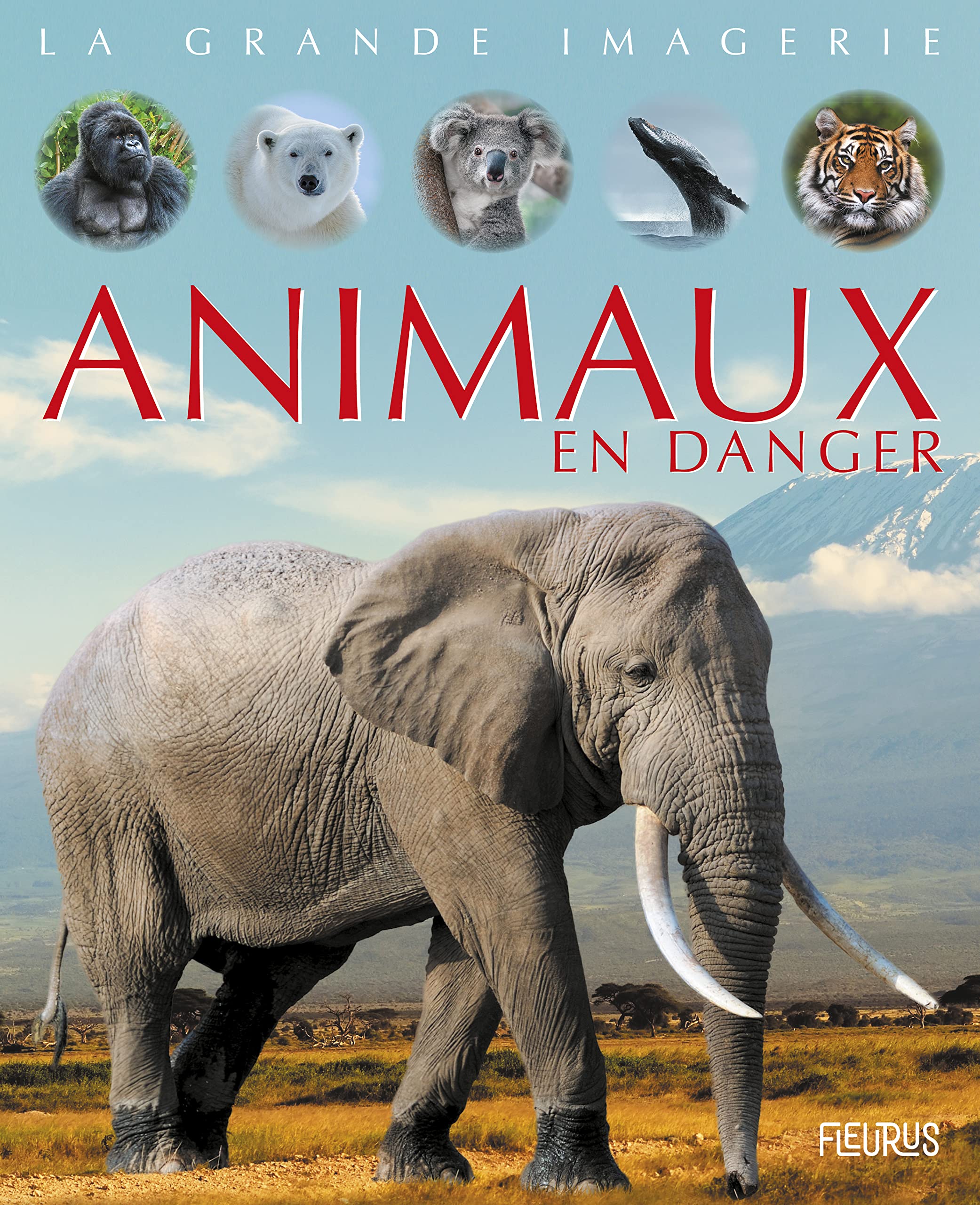 Animaux en danger 9782215169116