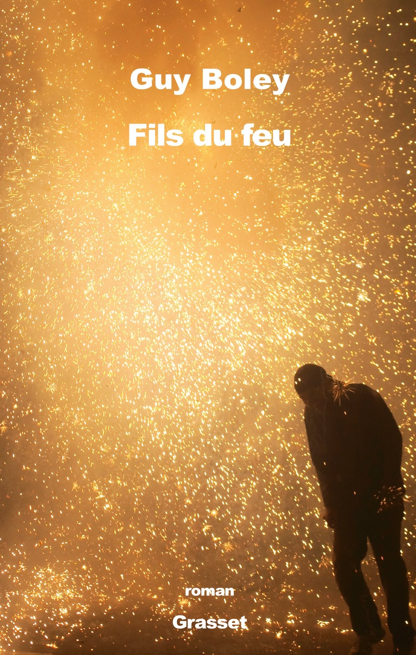 FILS DU FEU: roman 9782246862116